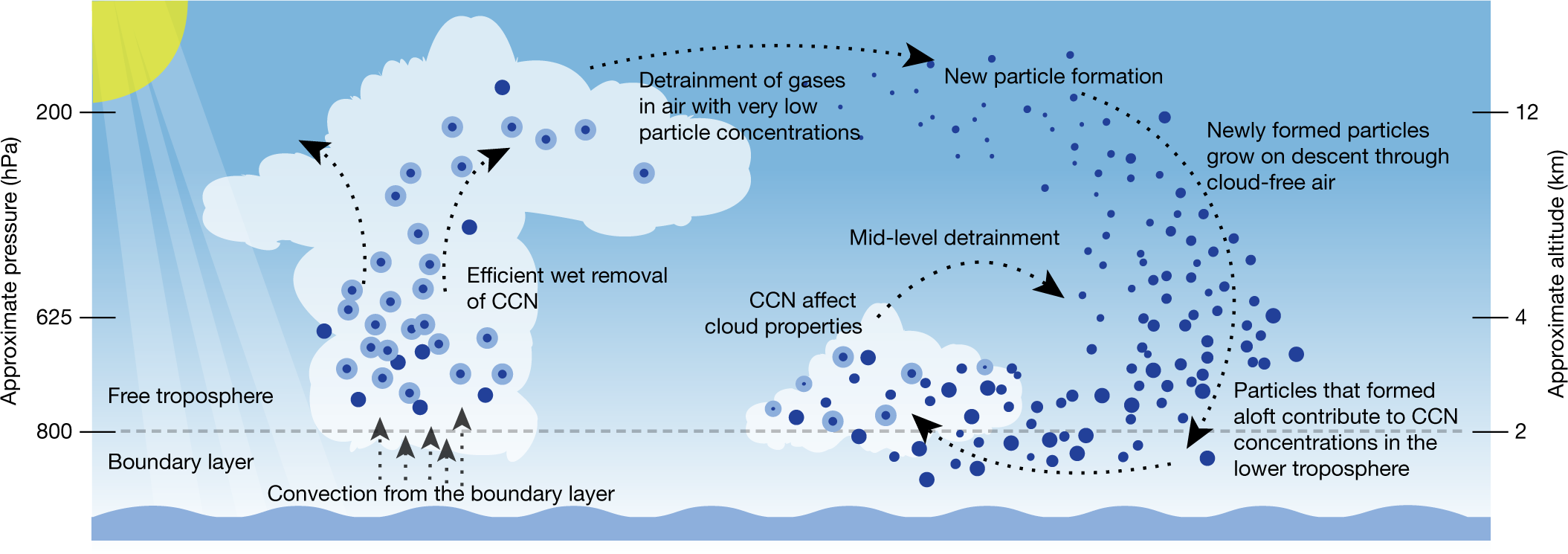 A large source of cloud condensation nuclei from new particle formation in  the tropics | Nature