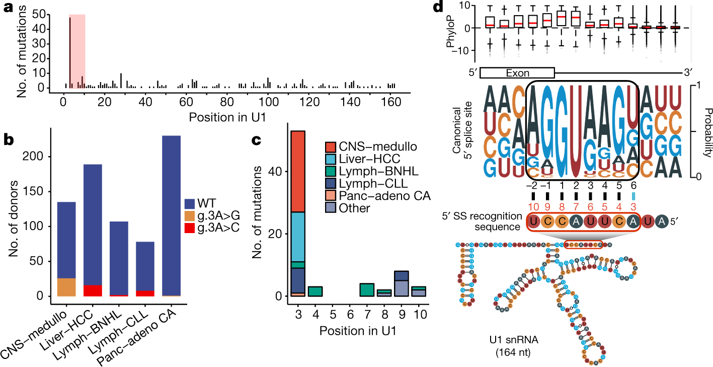 Analysis of mutations within the intron20 splice donor site of CREBBP in  patients with and without classical RSTS