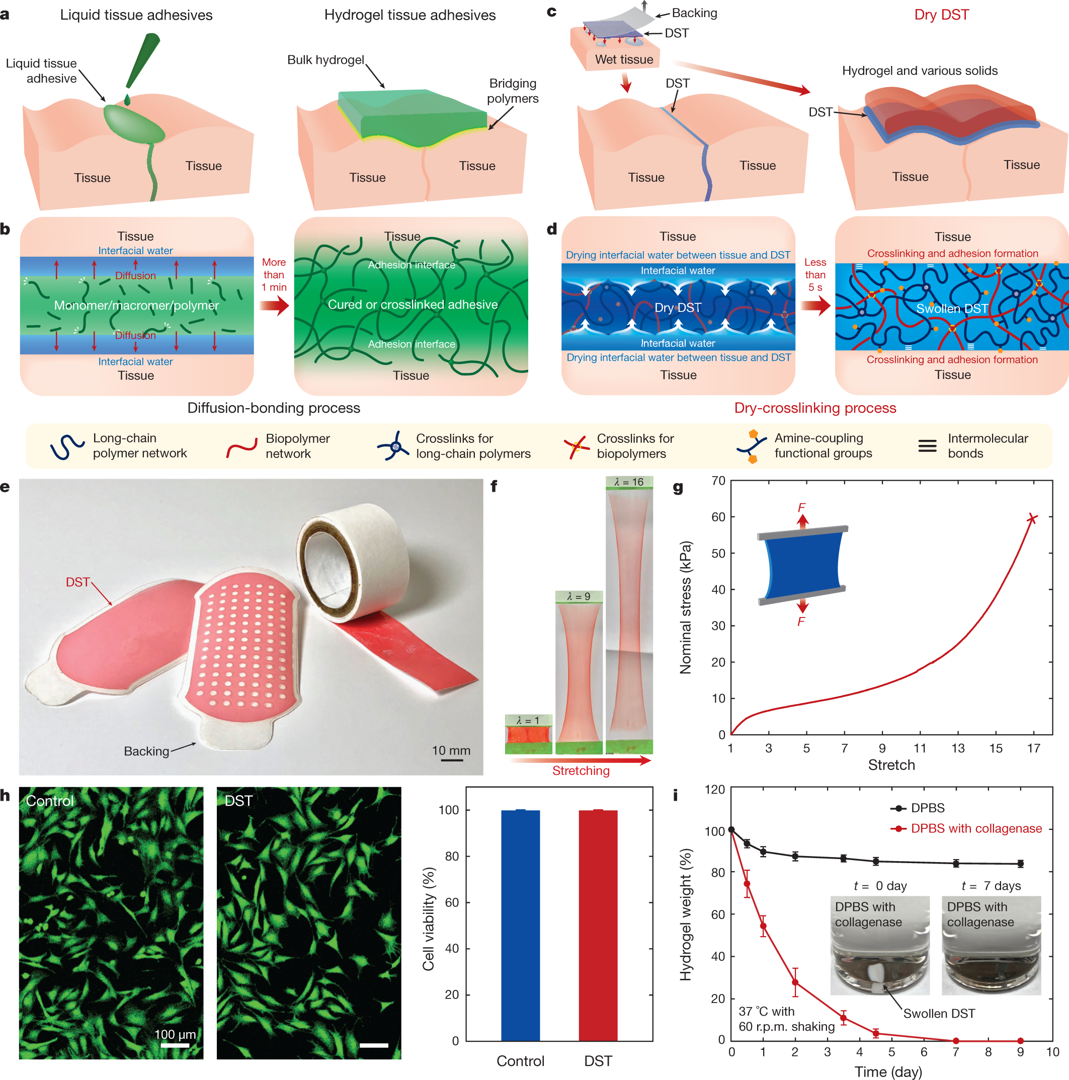 Dry double-sided tape for adhesion of wet tissues and devices | Nature