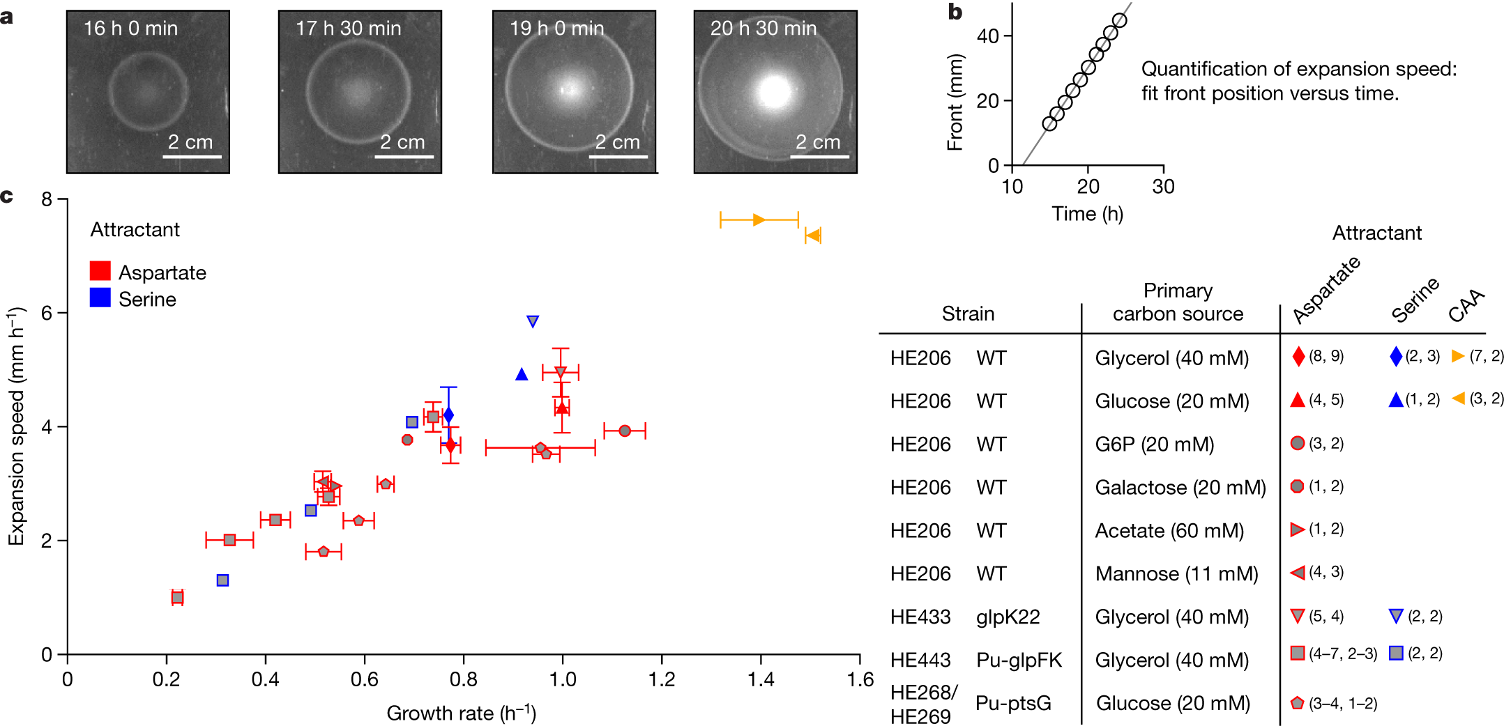 Chemotaxis As A Navigation Strategy To Boost Range Expansion Nature