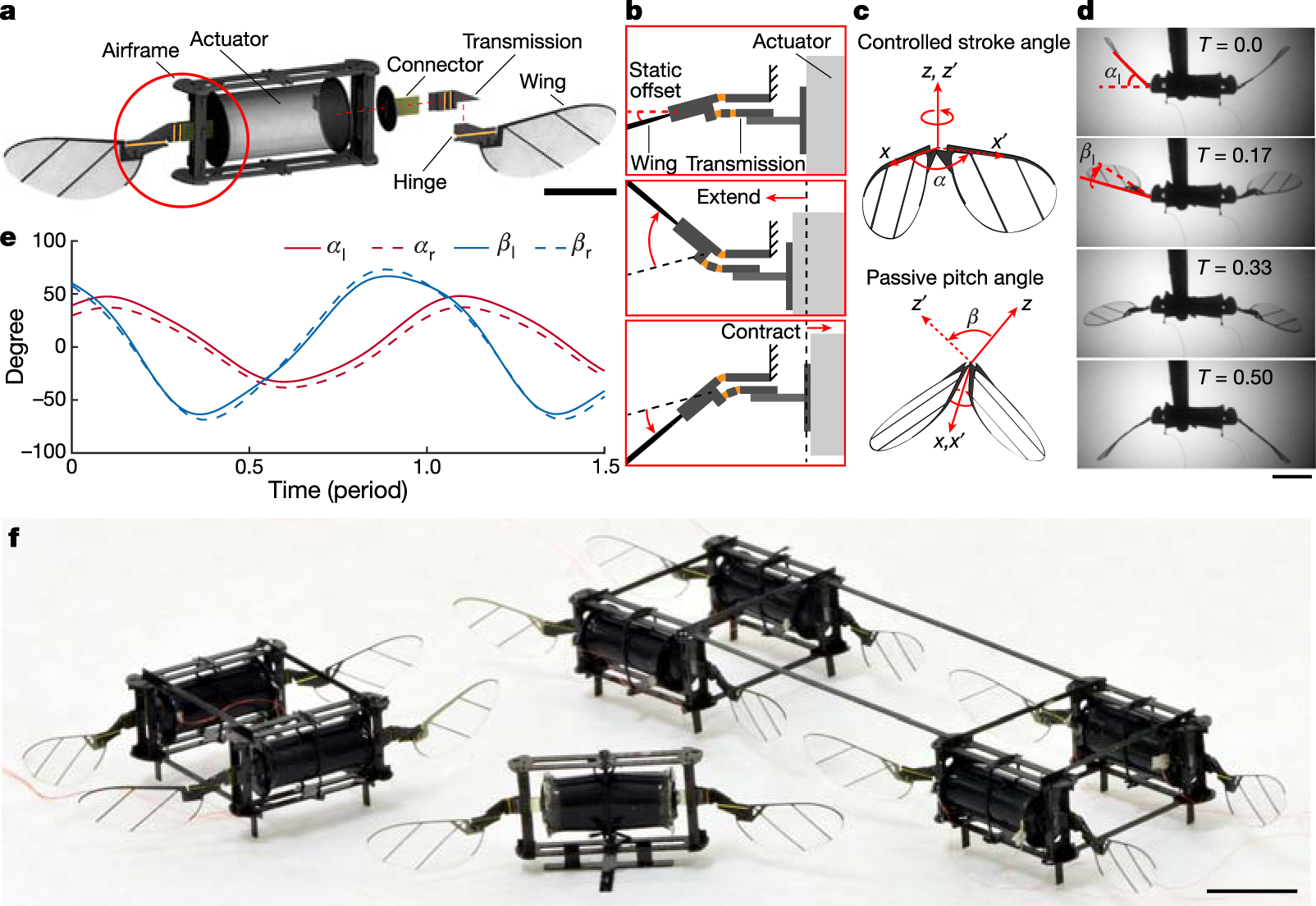 microrobot