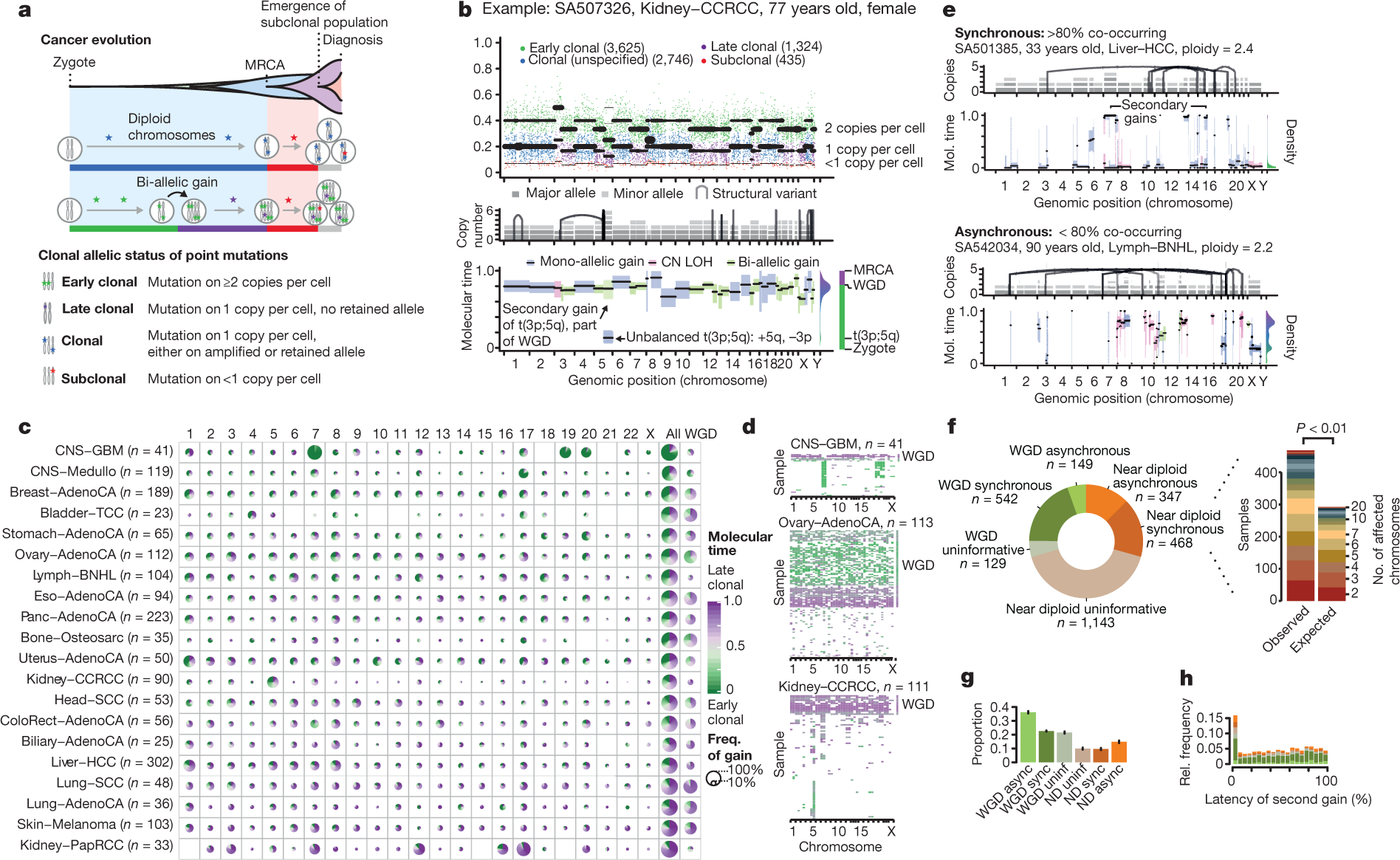 The evolutionary history of 2,658 cancers | Nature