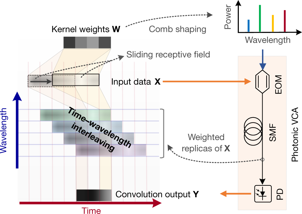 11 TOPS photonic convolutional accelerator for optical neural networks |  Nature