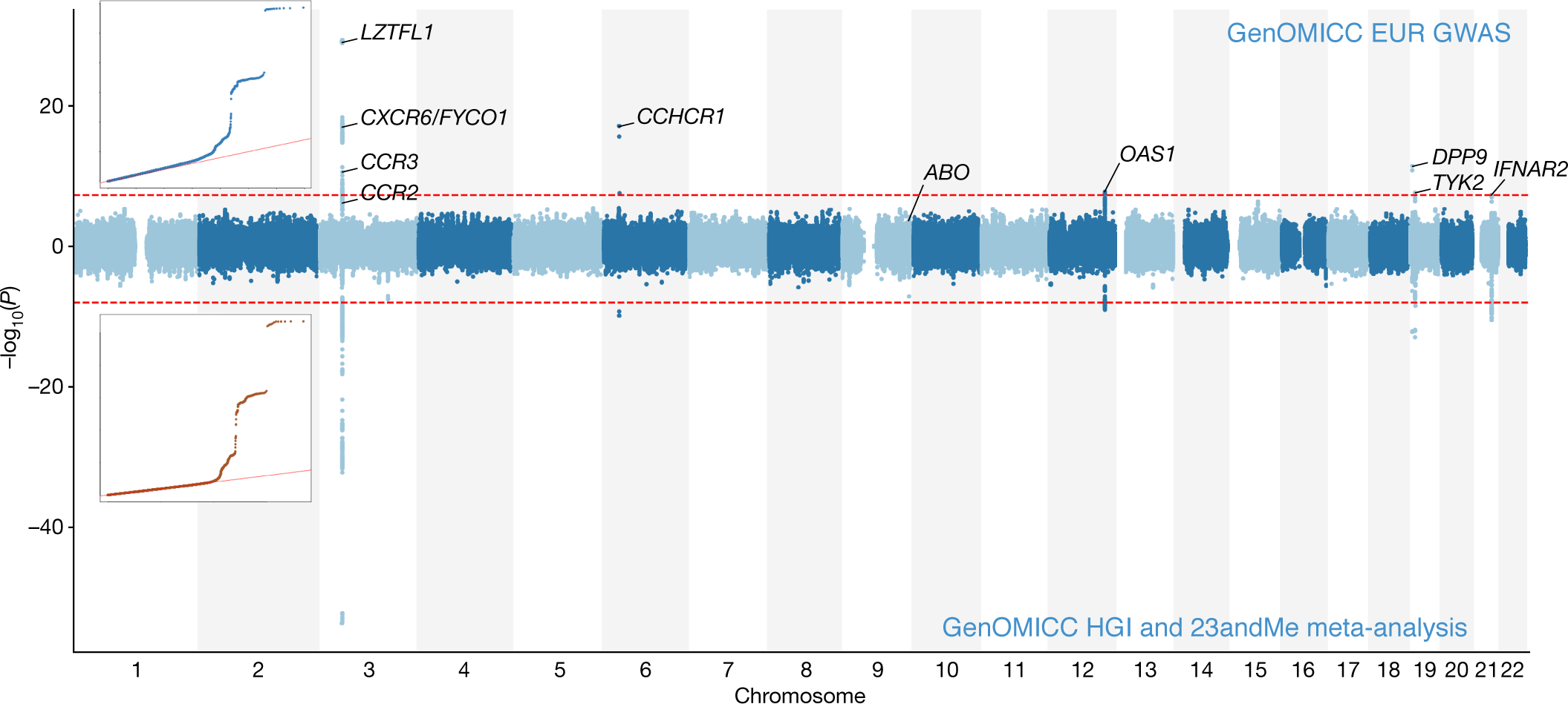 Genetic mechanisms of critical illness in COVID-19 | Nature