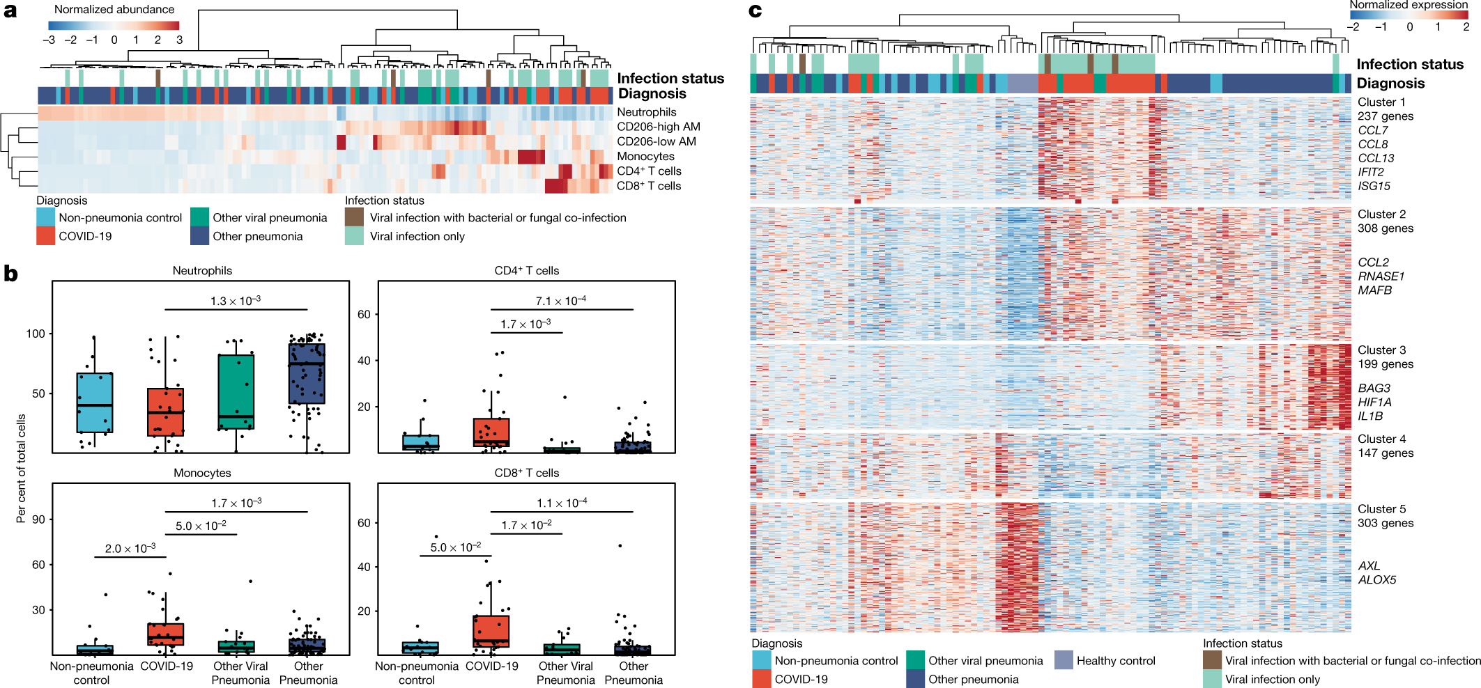 Fig. 2: At the time of intubation, the alveolar space in patients with severe SARS-CoV-2 pneumonia is enriched for T cells and monocytes and contains alveolar macrophages containing SARS-CoV-2 RNA and expressing interferon-response genes.