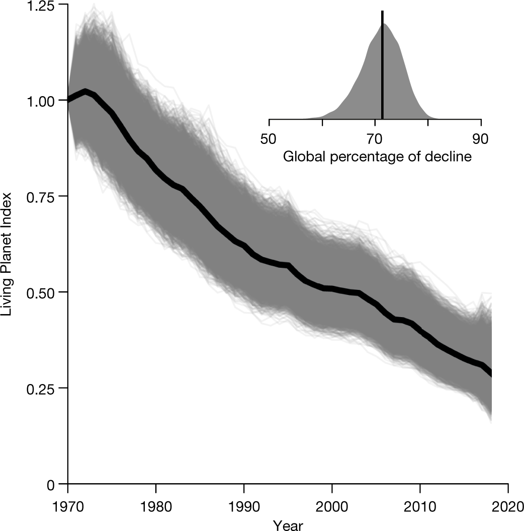 Florida Half Century 2022 Schedule Half A Century Of Global Decline In Oceanic Sharks And Rays | Nature