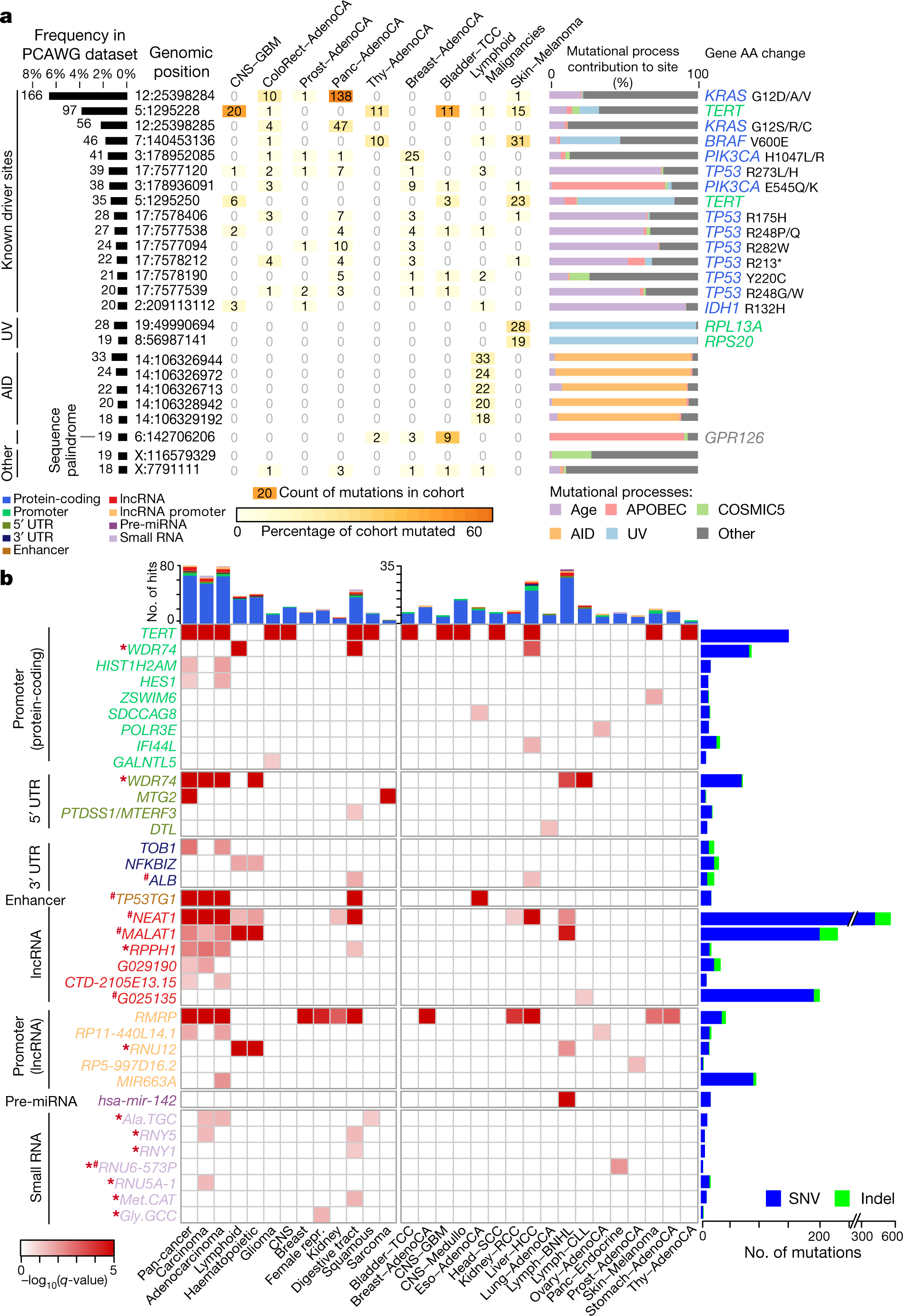 Analyses of non-coding somatic drivers in 2,658 cancer whole genomes |  Nature