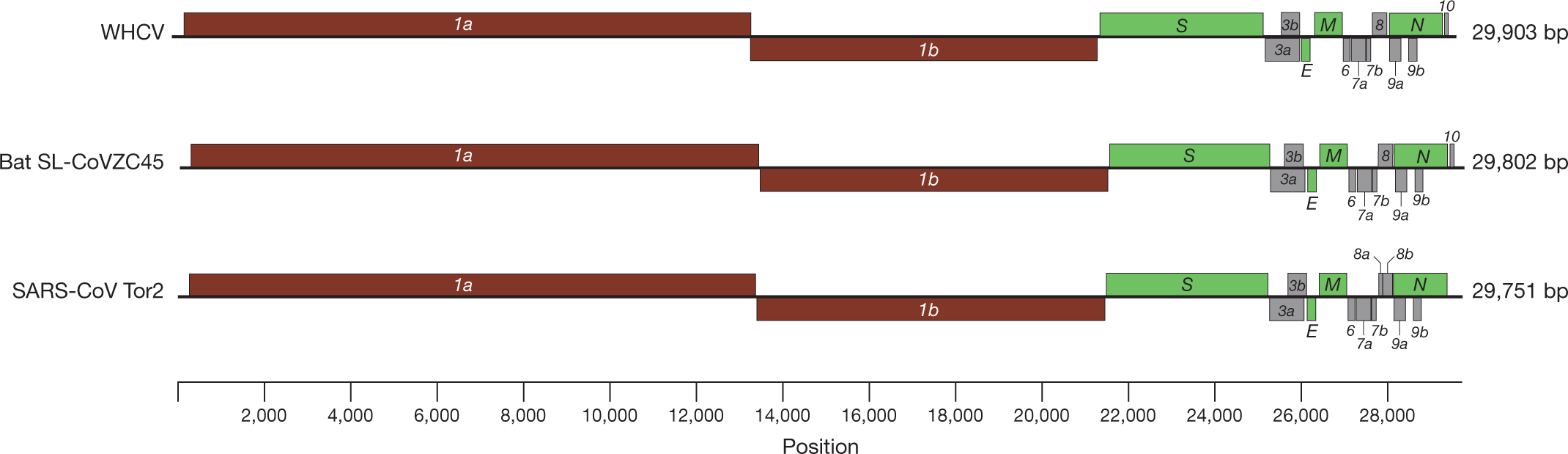 A new coronavirus associated with human respiratory disease in China |  Nature