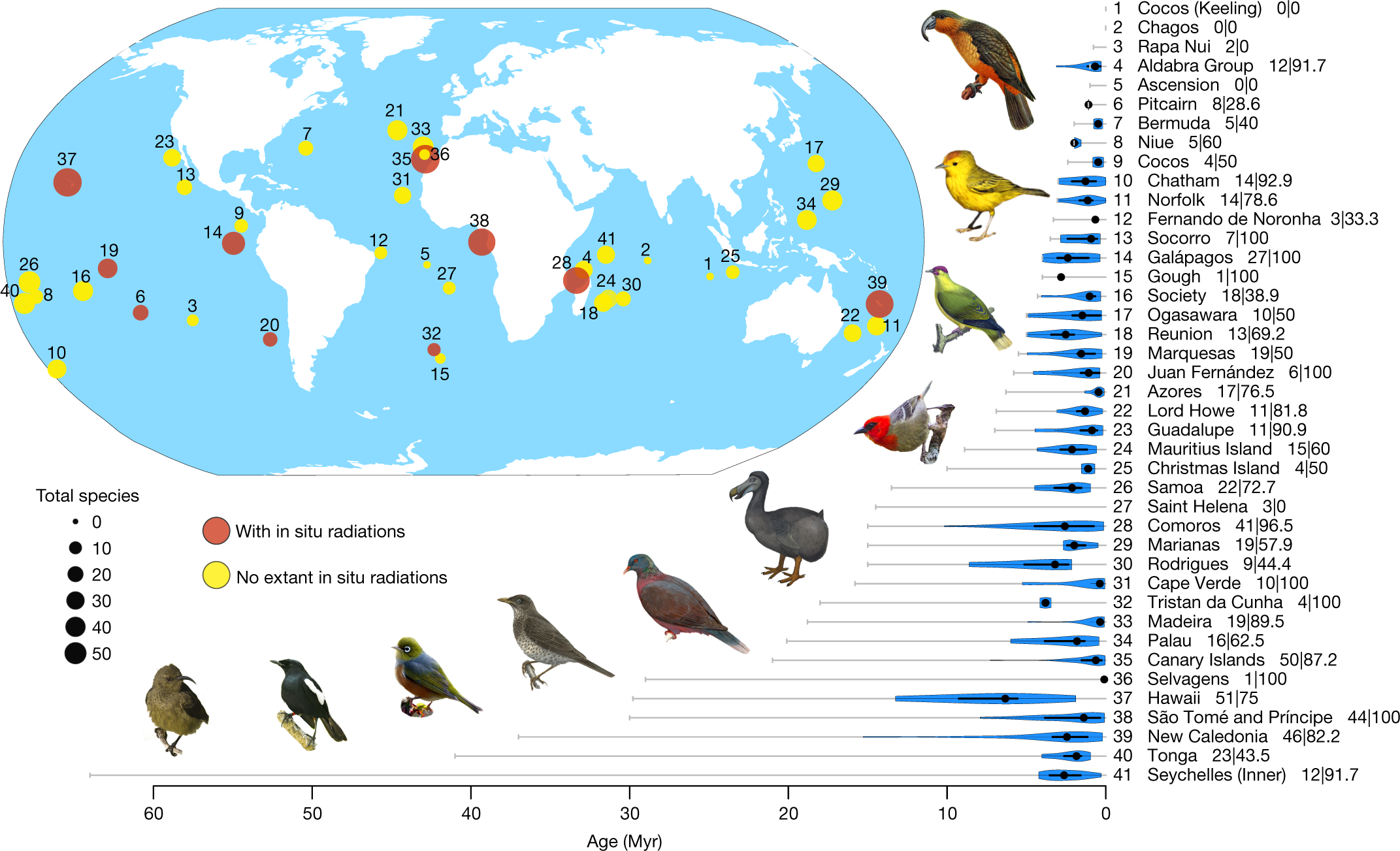 A simple dynamic model explains the diversity of island birds worldwide |  Nature