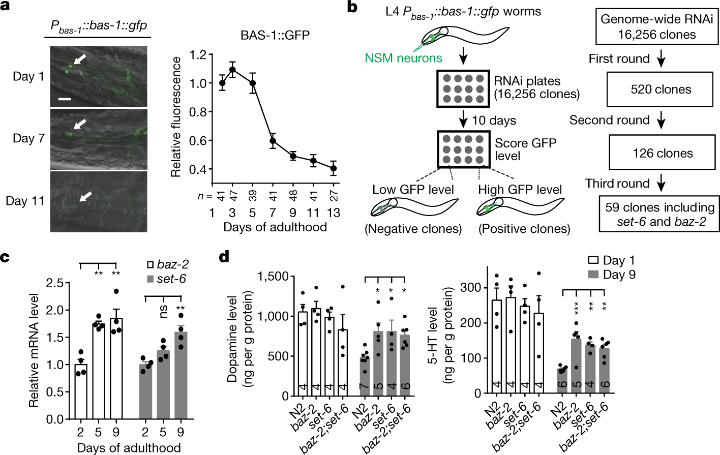 Two Conserved Epigenetic Regulators Prevent Healthy Ageing Nature