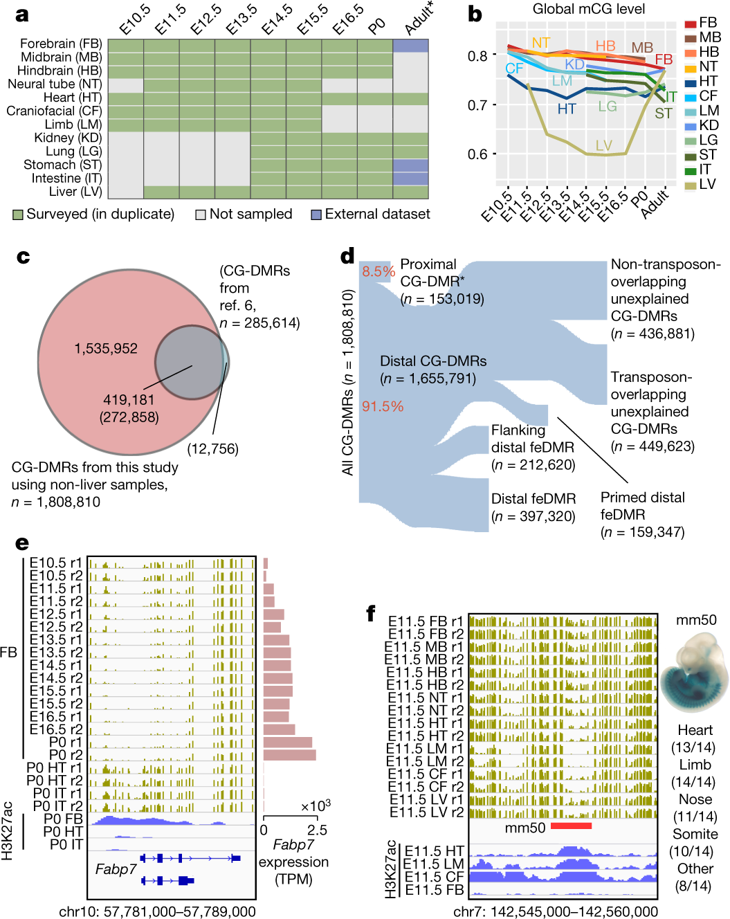 Spatiotemporal Dna Methylome Dynamics Of The Developing Mouse Fetus Nature Spatiotemporal Dna Methylome Dynamics Of The Developing Mouse Fetus Nature