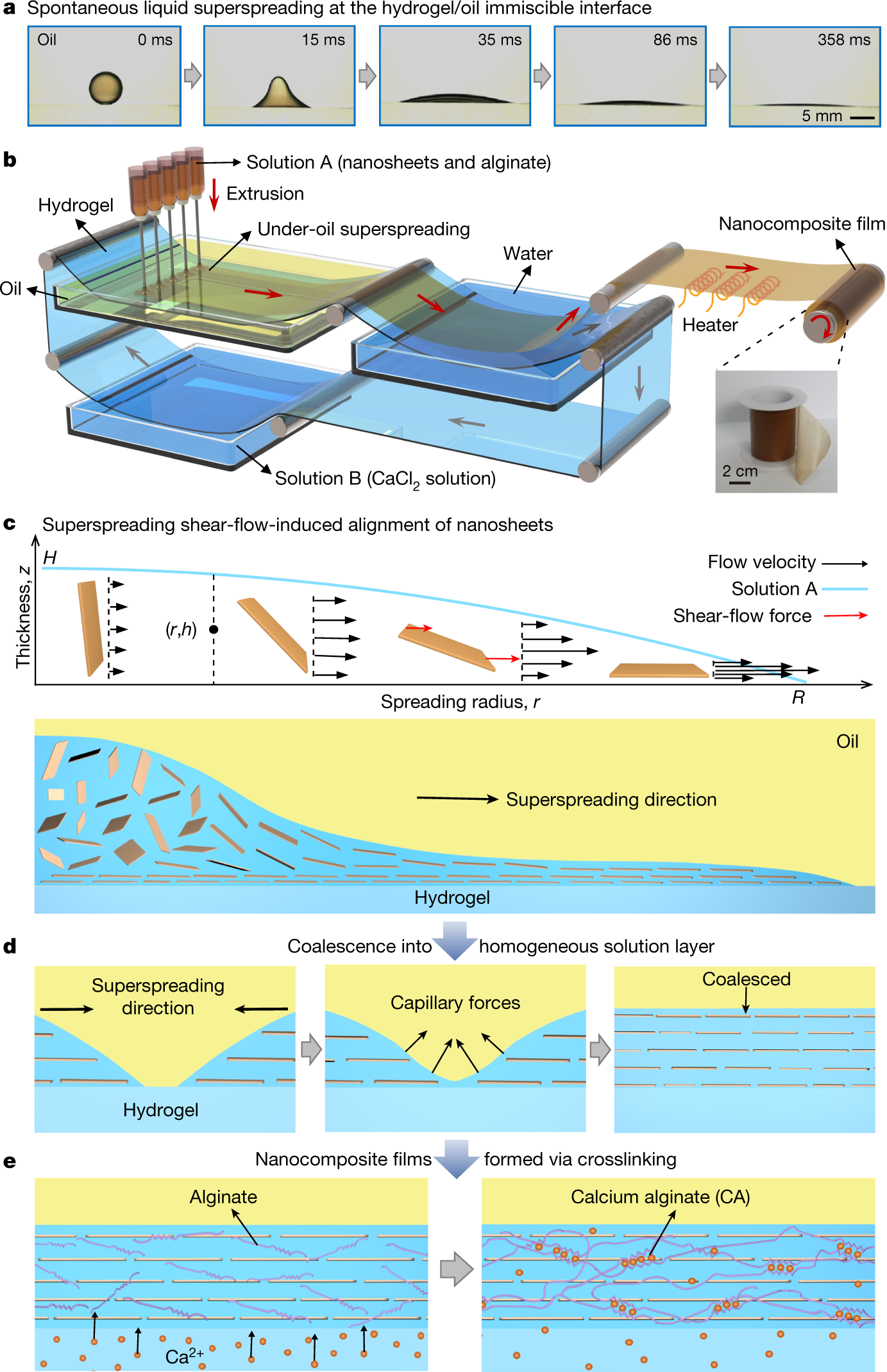 Layered Nanocomposites By Shear Flow Induced Alignment Of Nanosheets Nature