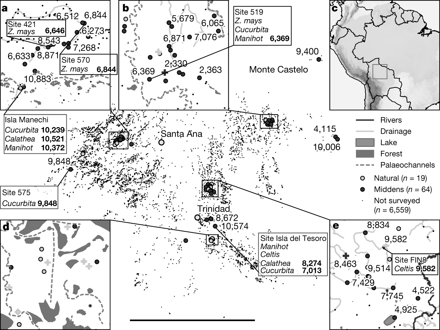 Early Holocene crop cultivation and landscape modification in Amazonia |  Nature