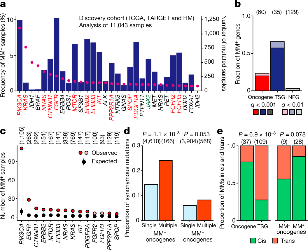 Landscape And Function Of Multiple Mutations Within Individual Oncogenes Nature