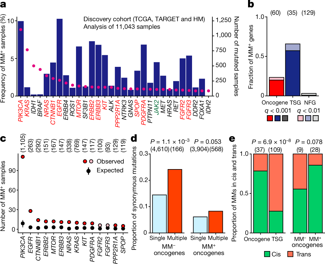 Landscape And Function Of Multiple Mutations Within Individual Oncogenes Nature Landscape And Function Of Multiple Mutations Within Individual Oncogenes Nature