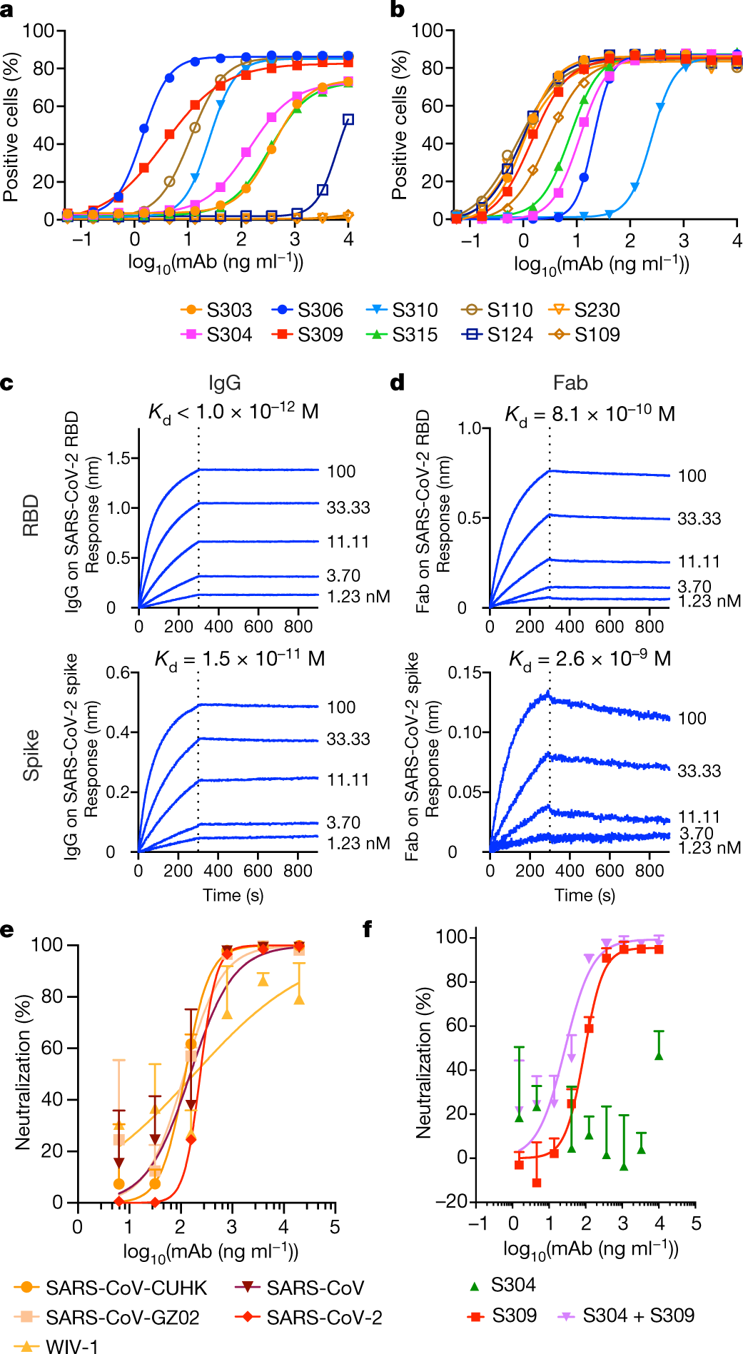Cross Neutralization Of Sars Cov 2 By A Human Monoclonal Sars Cov Antibody Nature Cross Neutralization Of Sars Cov 2 By A Human Monoclonal Sars Cov Antibody Nature