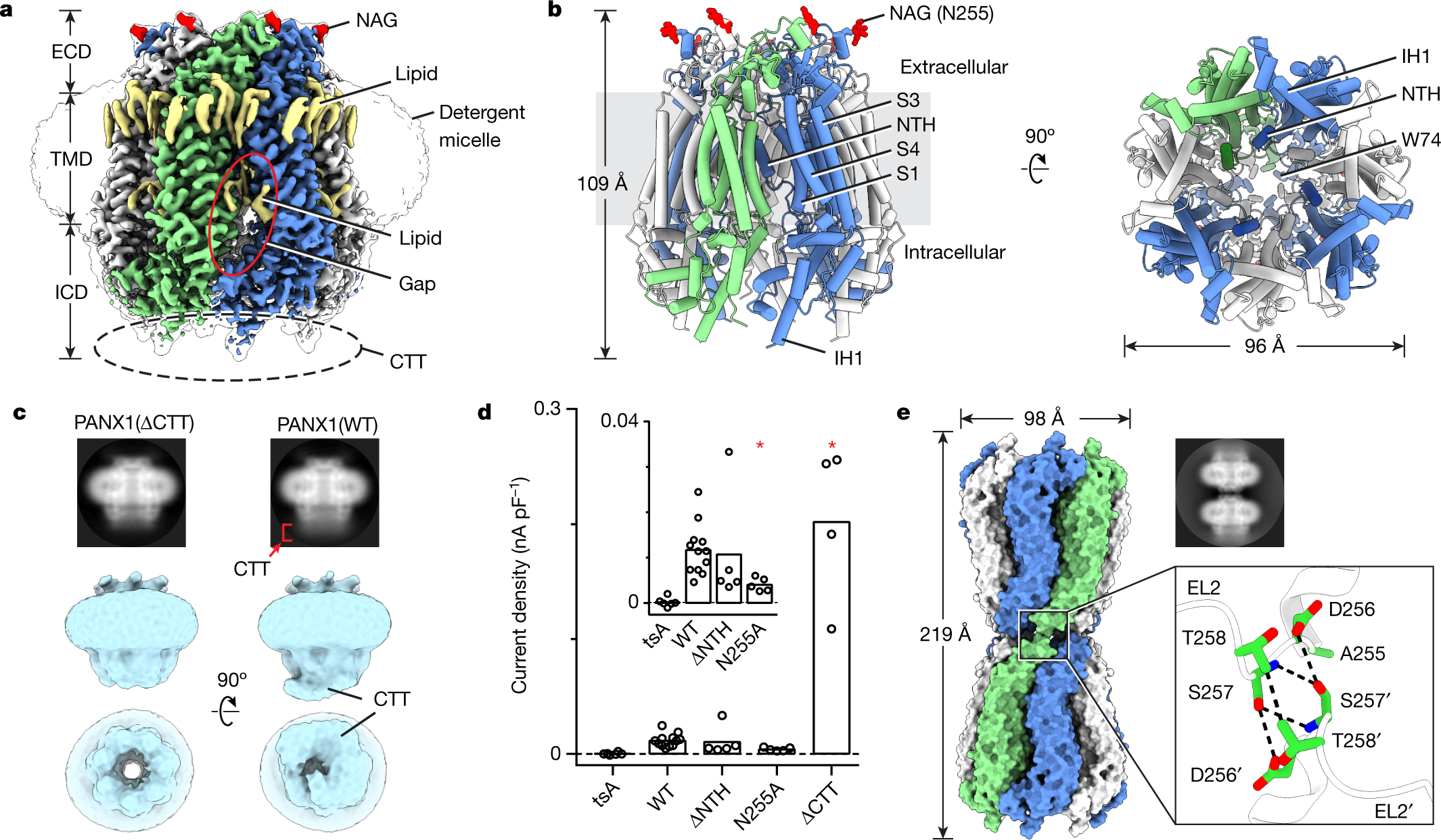 Structures Of Human Pannexin 1 Reveal Ion Pathways And Mechanism Of Gating Nature