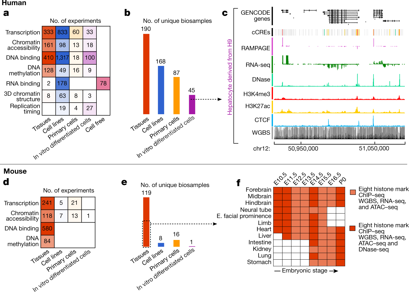 Expanded encyclopaedias of DNA elements in the human and mouse genomes |  Nature