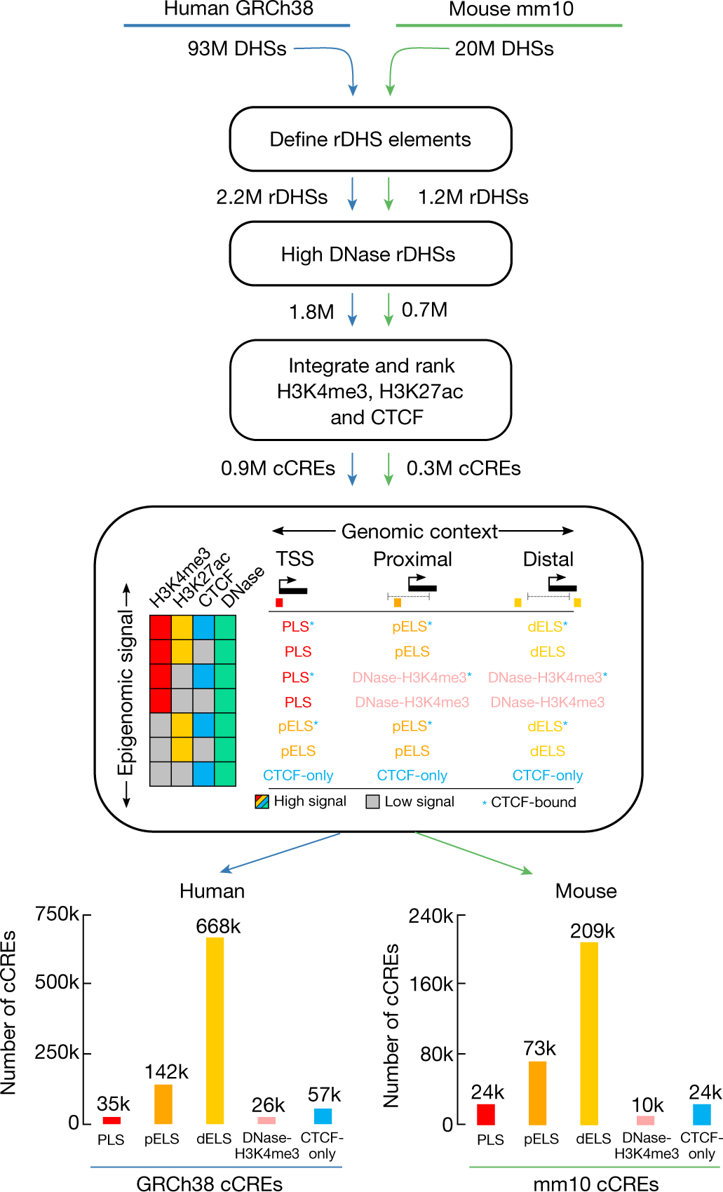 Fig. 3: Selection and classification of cCREs to build the registry of candidate cis-regulatory elements.