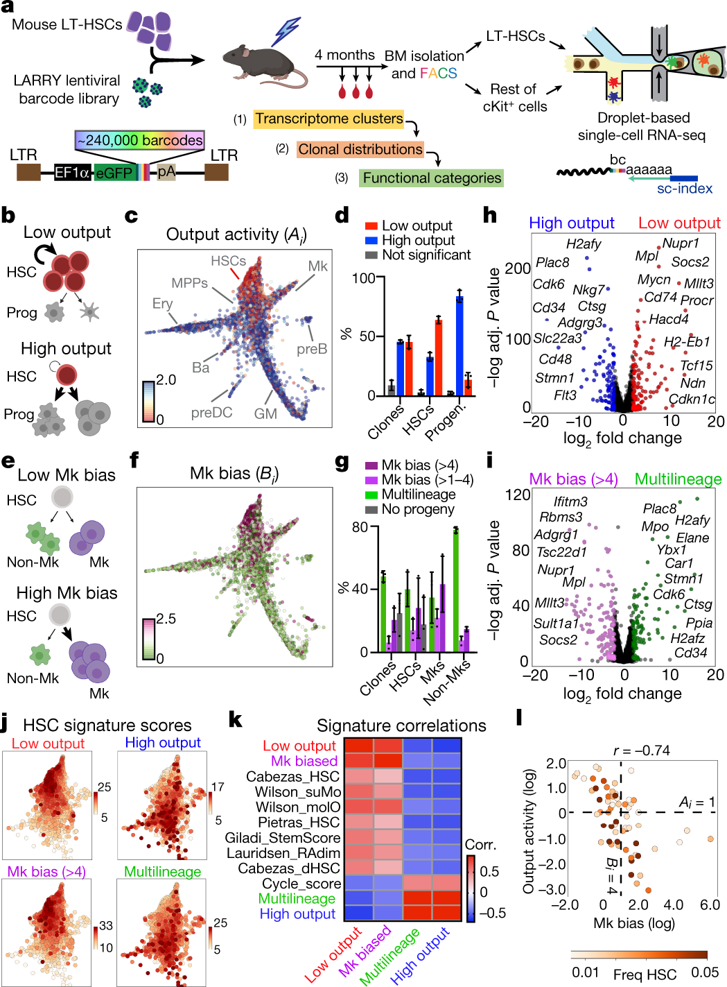 Single-cell lineage tracing unveils a role for TCF15 in haematopoiesis |  Nature