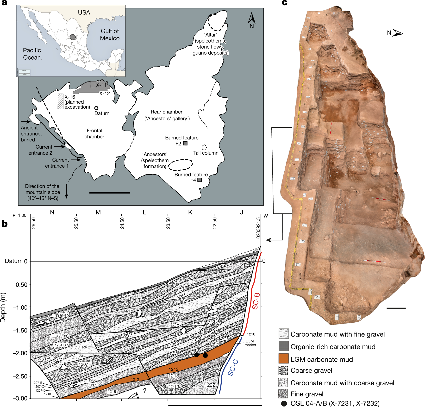 Evidence of human occupation in Mexico around the Last Glacial Maximum |  Nature