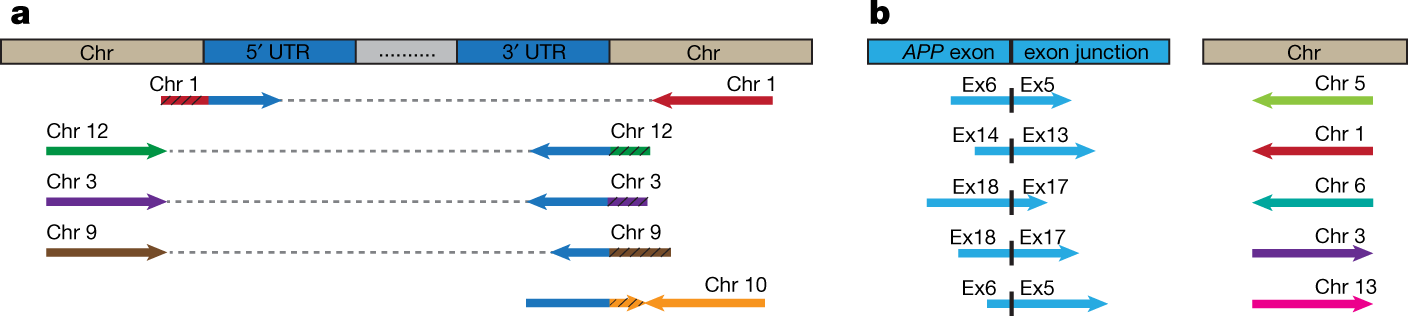 Reply To App Gene Copy Number Changes Reflect Exogenous Contamination Nature