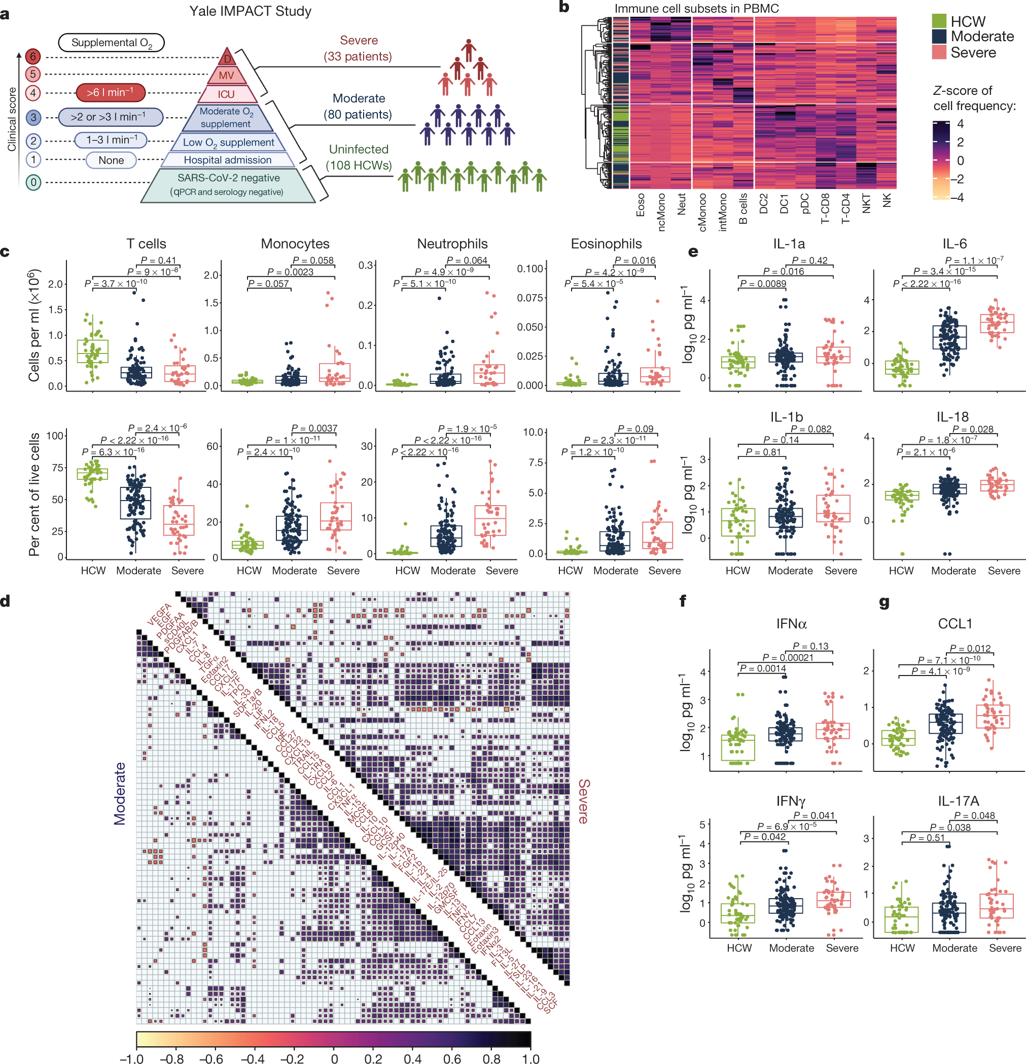 SciELO - Brasil - An immunogenetic view of COVID-19 An immunogenetic view  of COVID-19