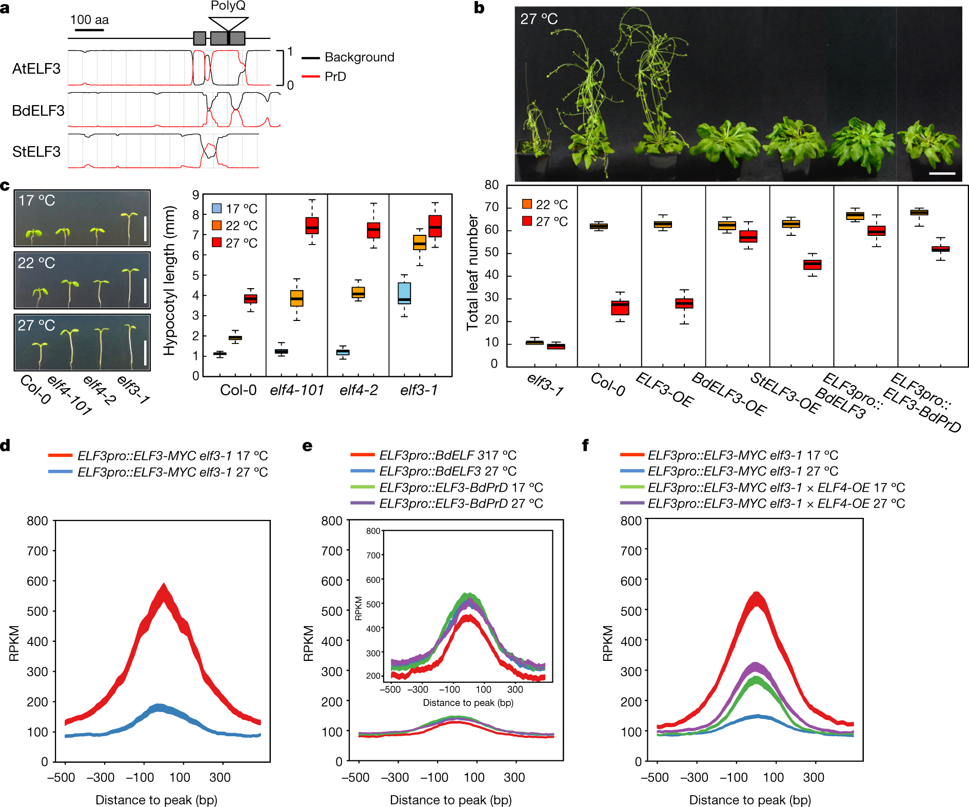 A Prion Like Domain In Elf3 Functions As A Thermosensor In Arabidopsis Nature