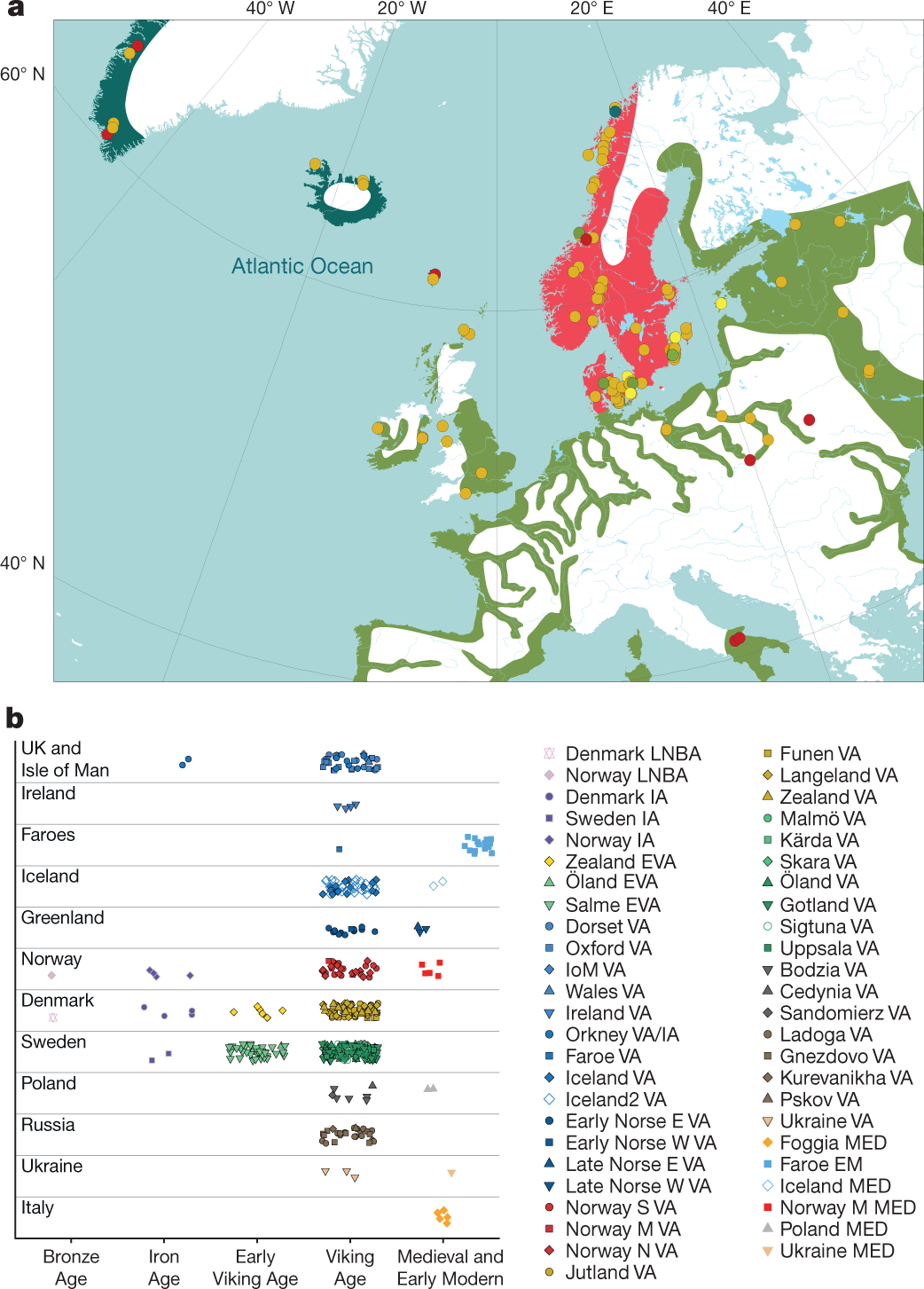 Scientists raid DNA to explore Vikings' genetic roots