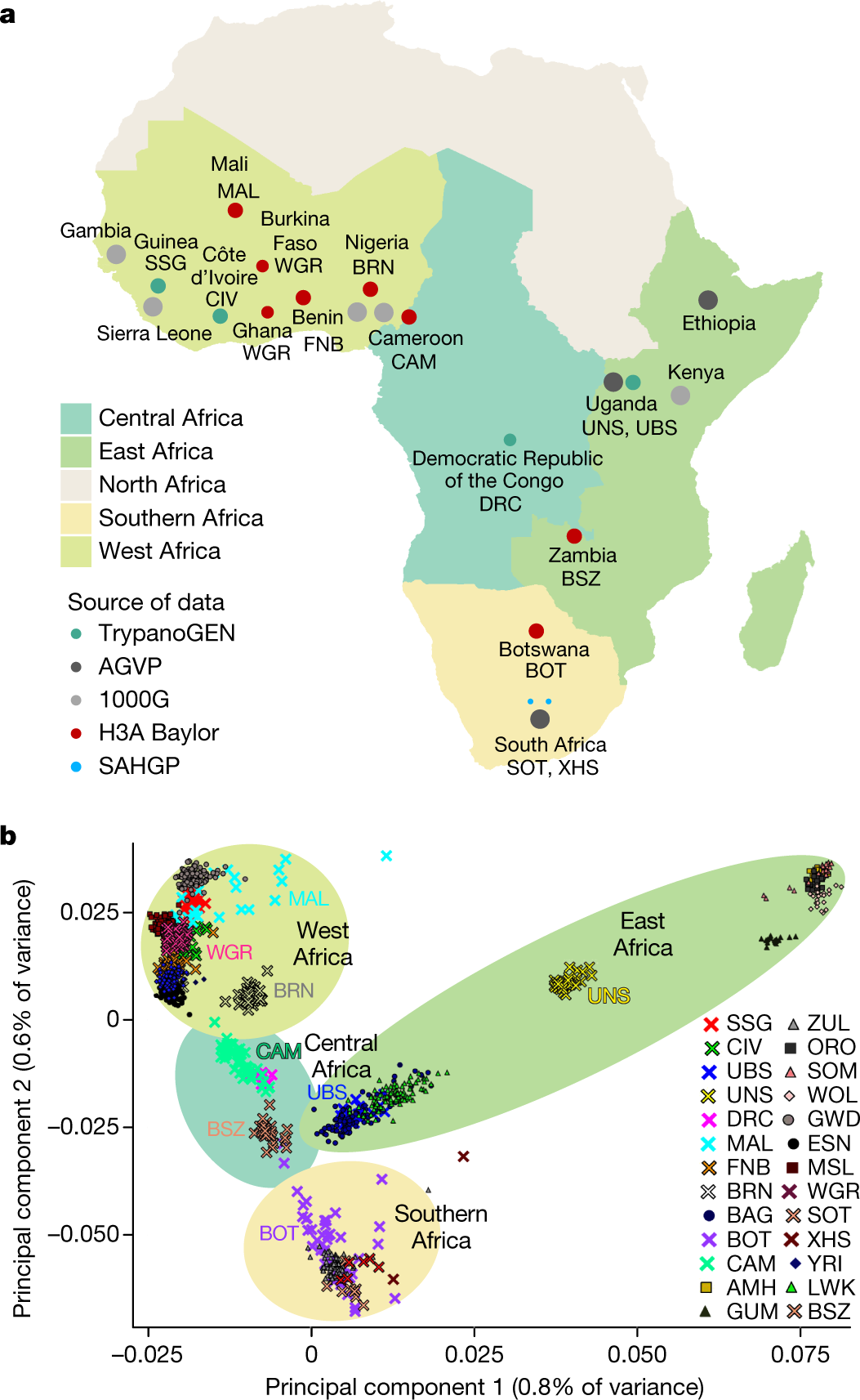 dfgdfgxfg (1) - South African Thoracic Society