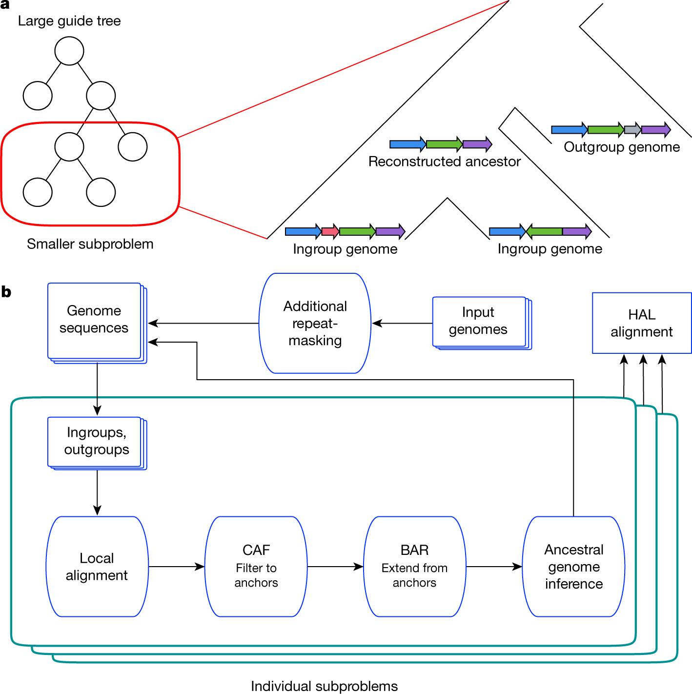 Genes, Free Full-Text