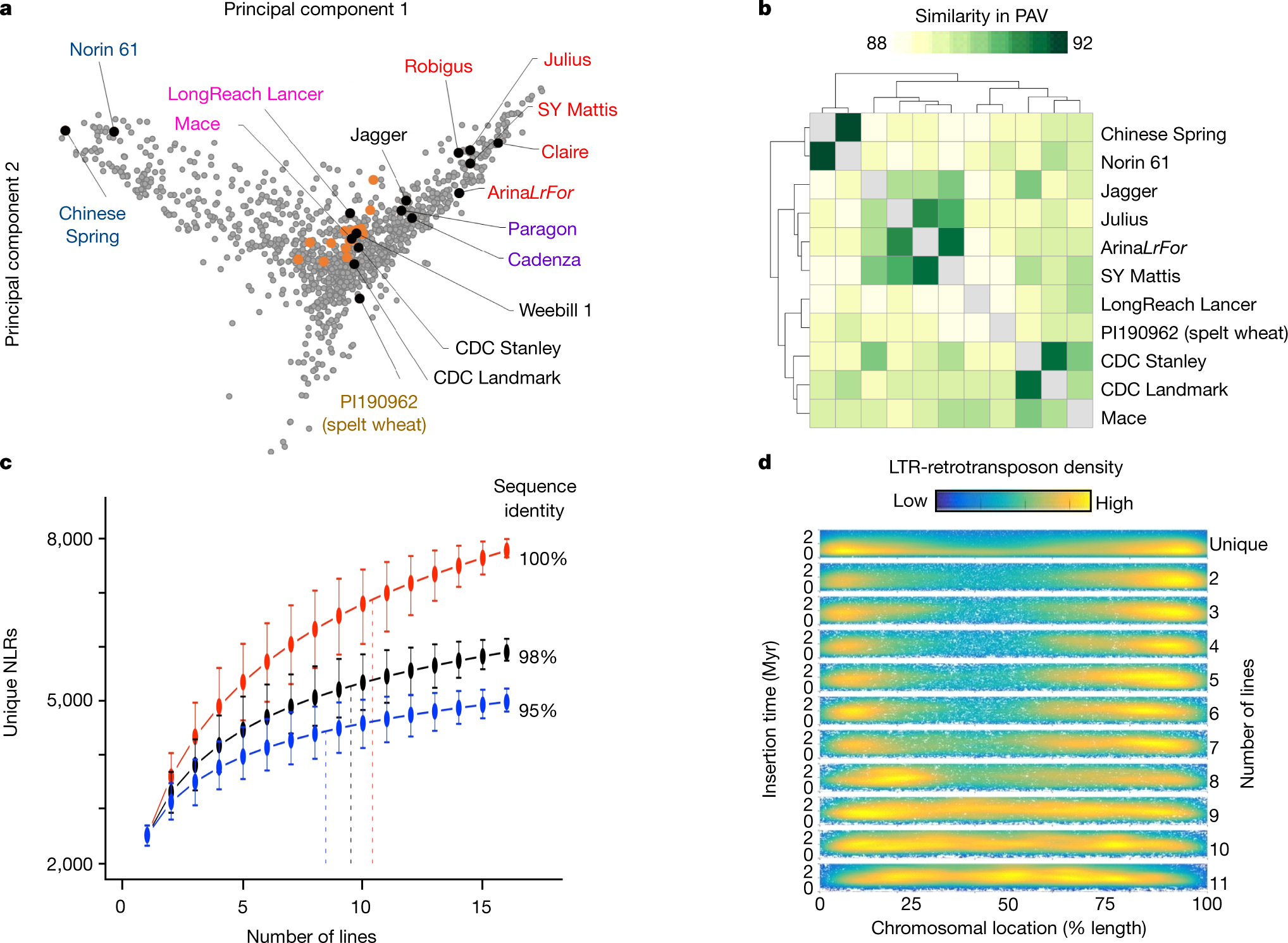 virtuel skarp debitor Multiple wheat genomes reveal global variation in modern breeding | Nature