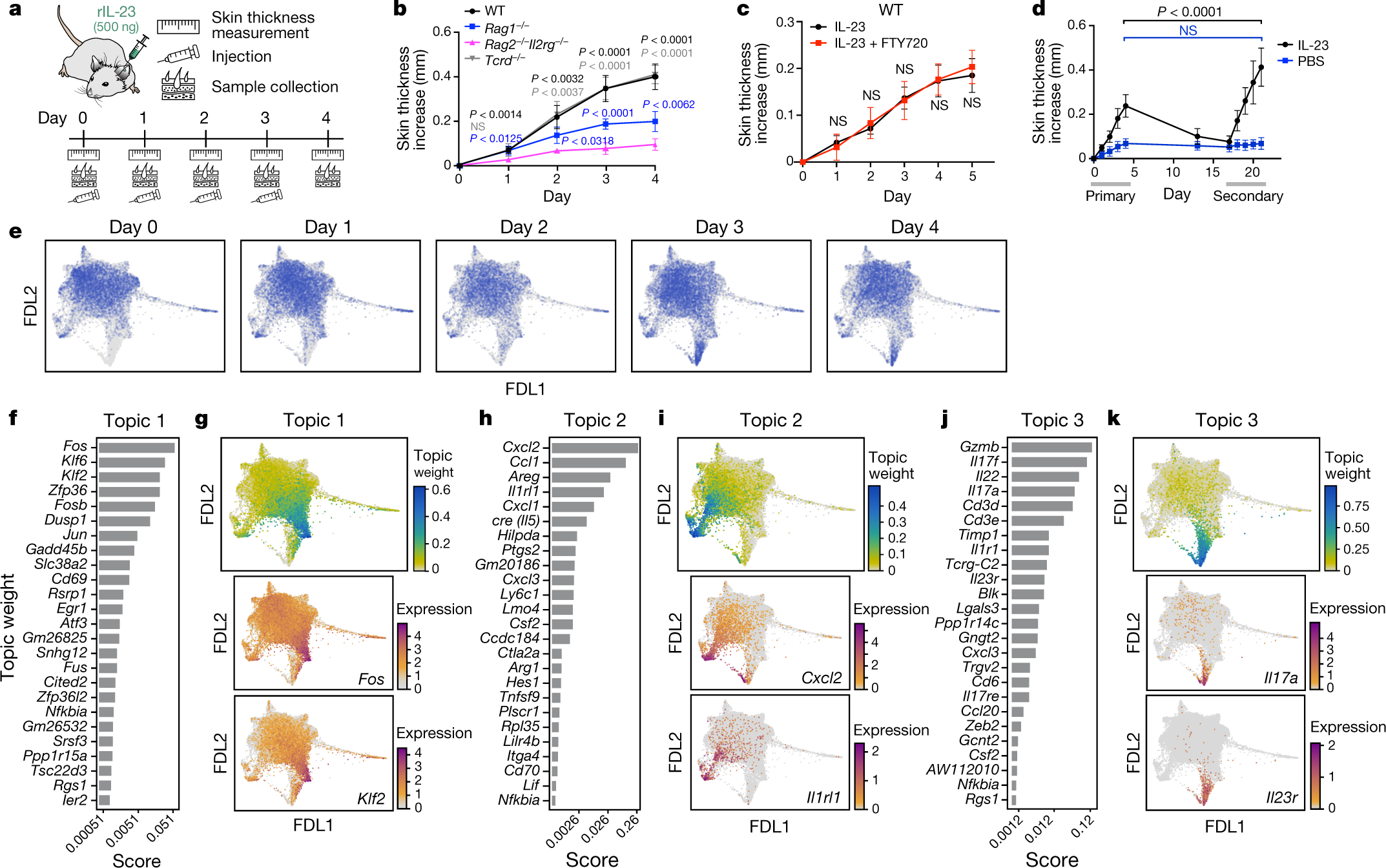 Skin-resident innate lymphoid cells converge on a pathogenic effector state  | Nature