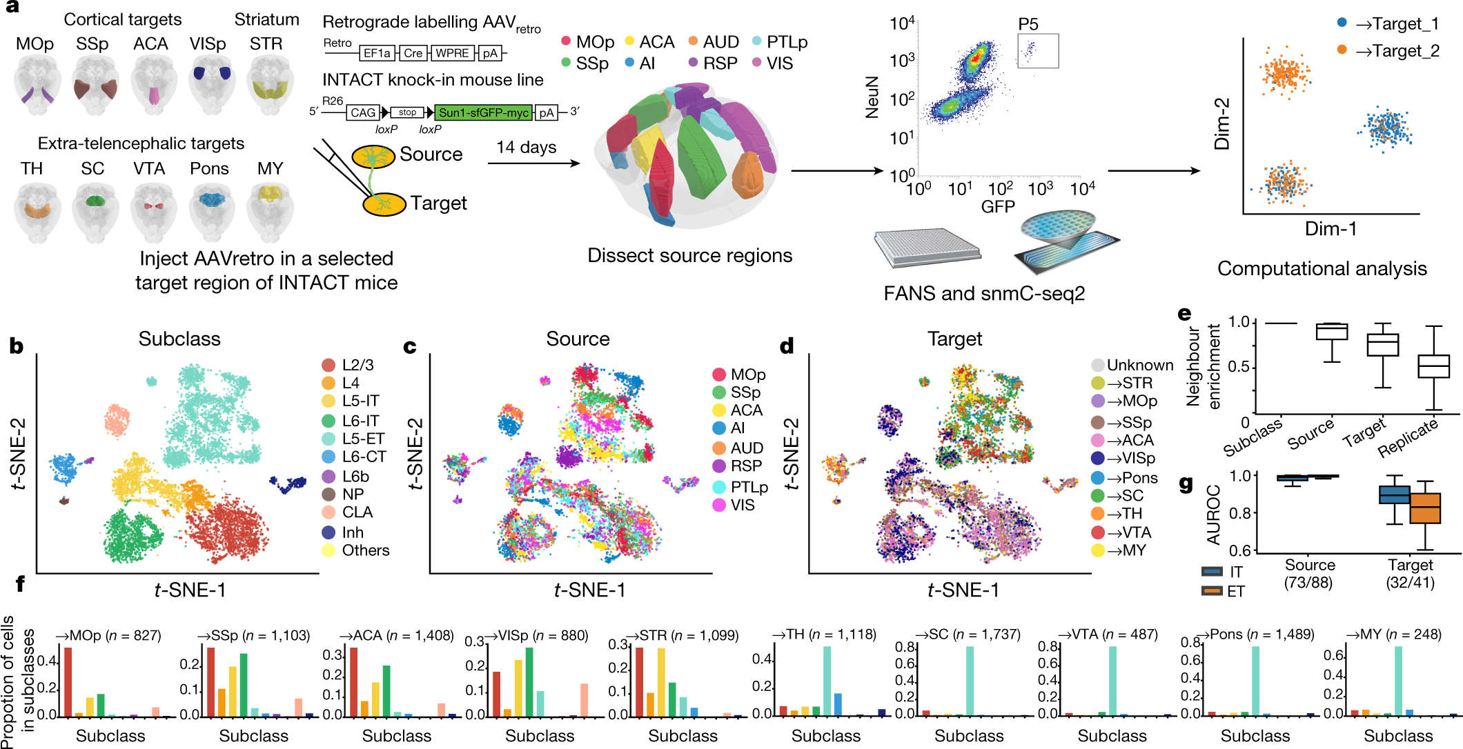 Fig. 1: The epigenomic landscape of cortical projection neurons.