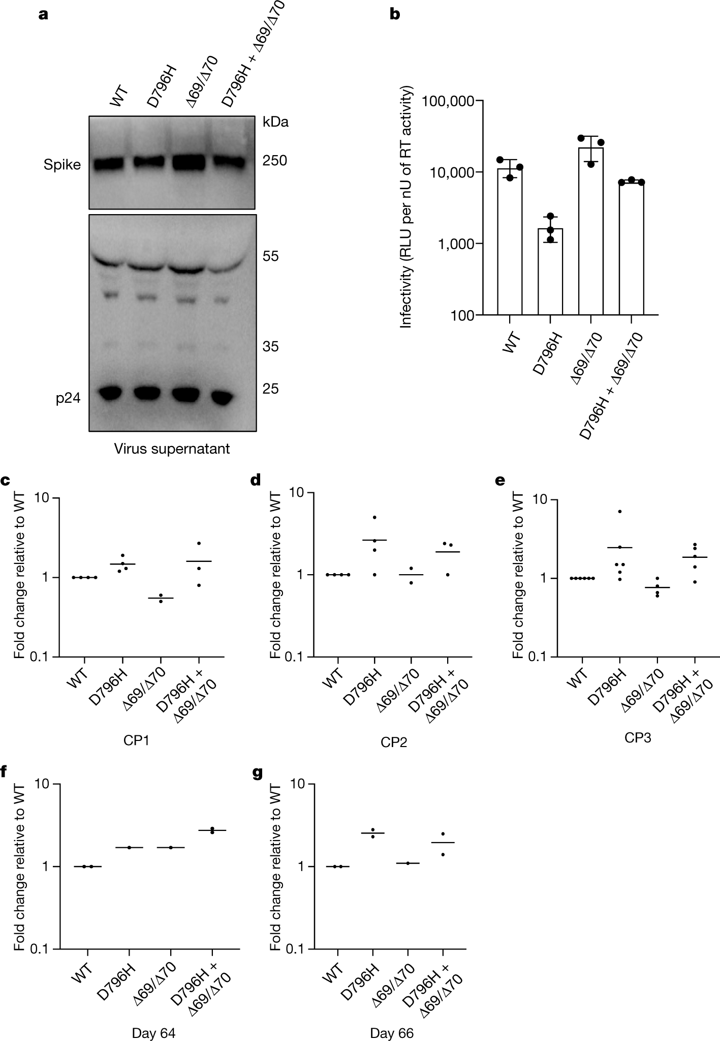 Fig. 4: Infectivity of the spike(D796H, ΔH69/ΔV70) variant and sensitivity to convalescent plasma treatment.