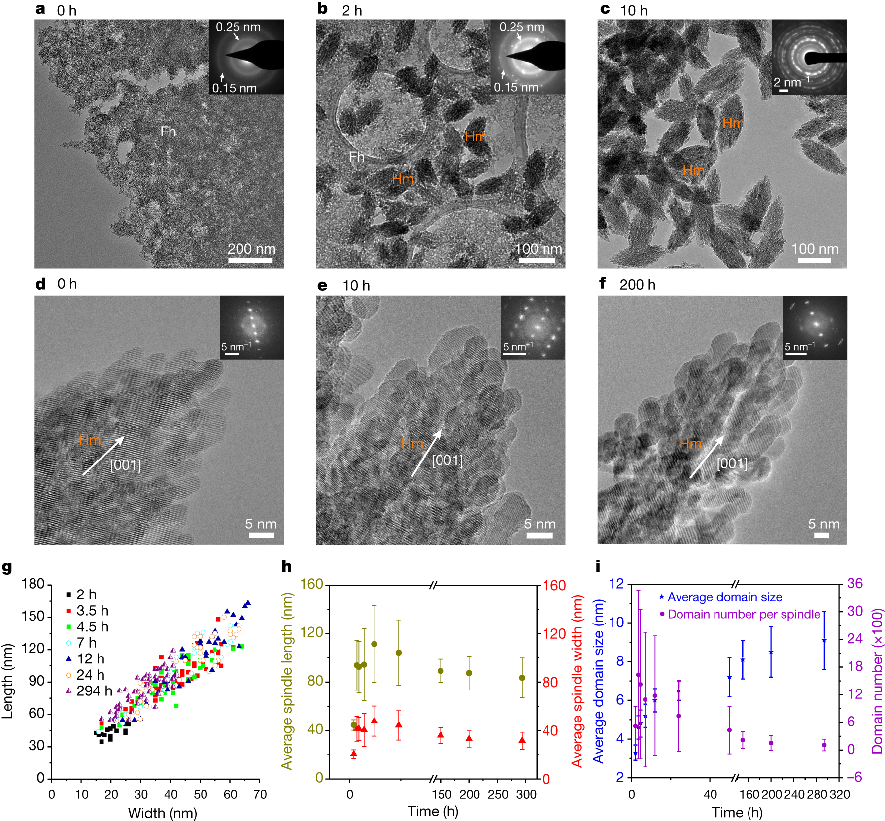 Self Similar Mesocrystals Form Via Interface Driven Nucleation And Assembly Nature Self Similar Mesocrystals Form Via Interface Driven Nucleation And Assembly Nature