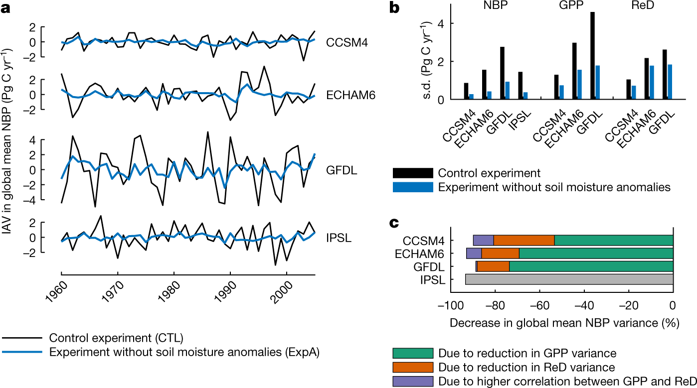 Fig. 1: Carbon fluxes in CTL and experiment A.
