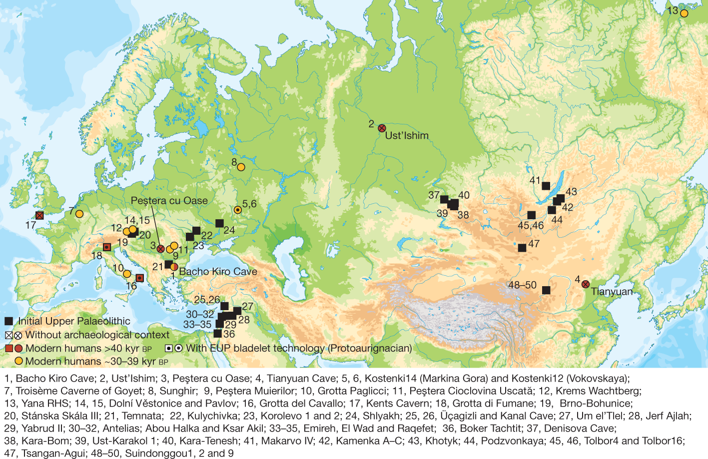 1417px x 919px - Initial Upper Palaeolithic humans in Europe had recent Neanderthal ancestry  | Nature