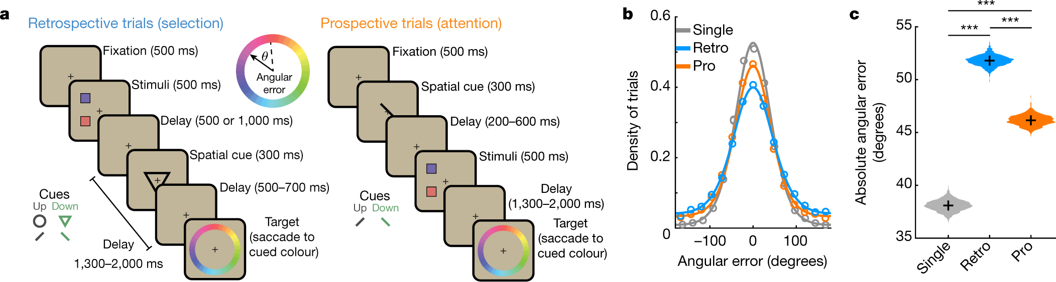 Shared Mechanisms Underlie The Control Of Working Memory And Attention Nature