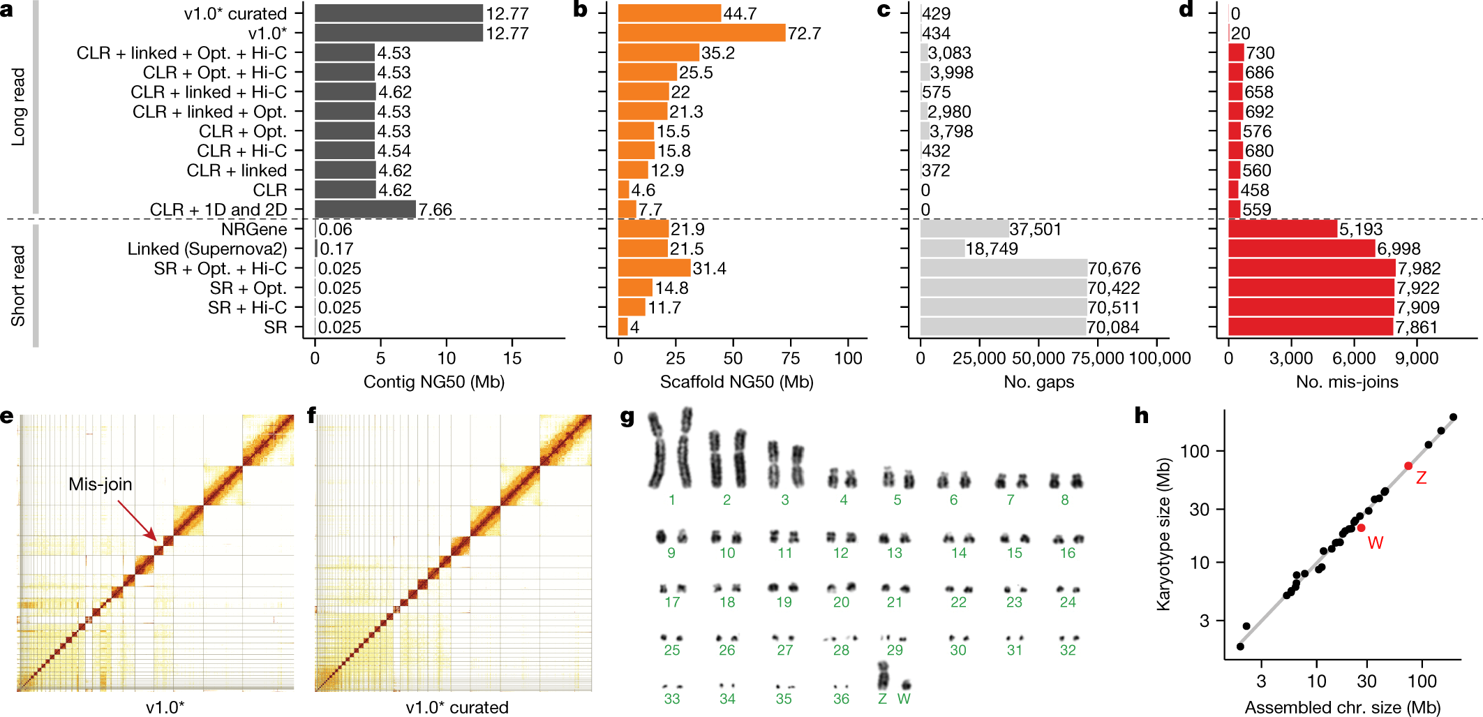 Towards complete and error-free genome assemblies of all vertebrate species  | Nature