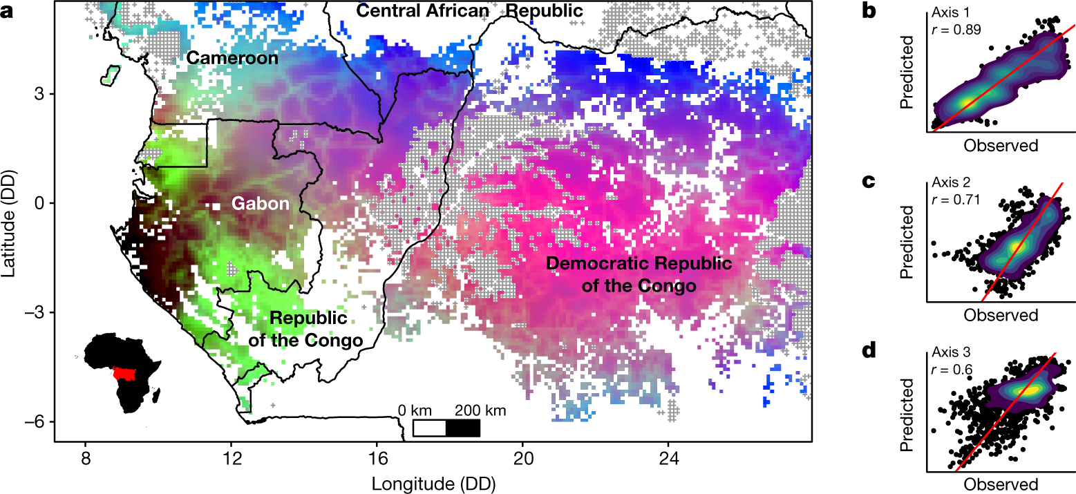 Unveiling African rainforest composition and vulnerability to global change  | Nature