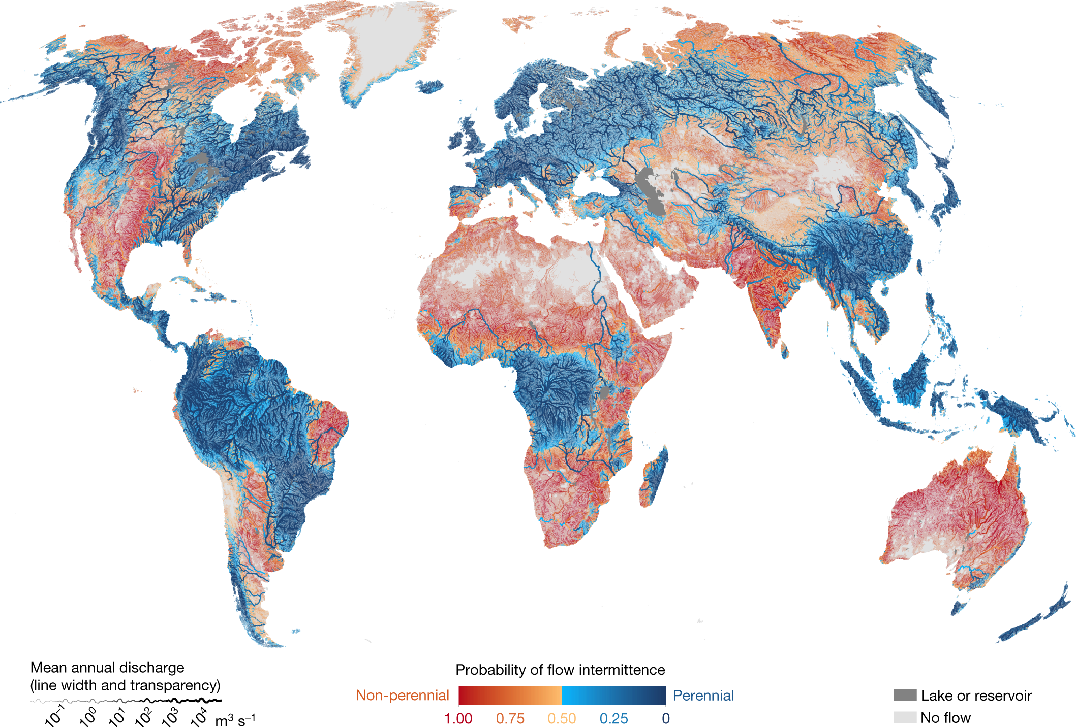 Global prevalence of non-perennial rivers and streams