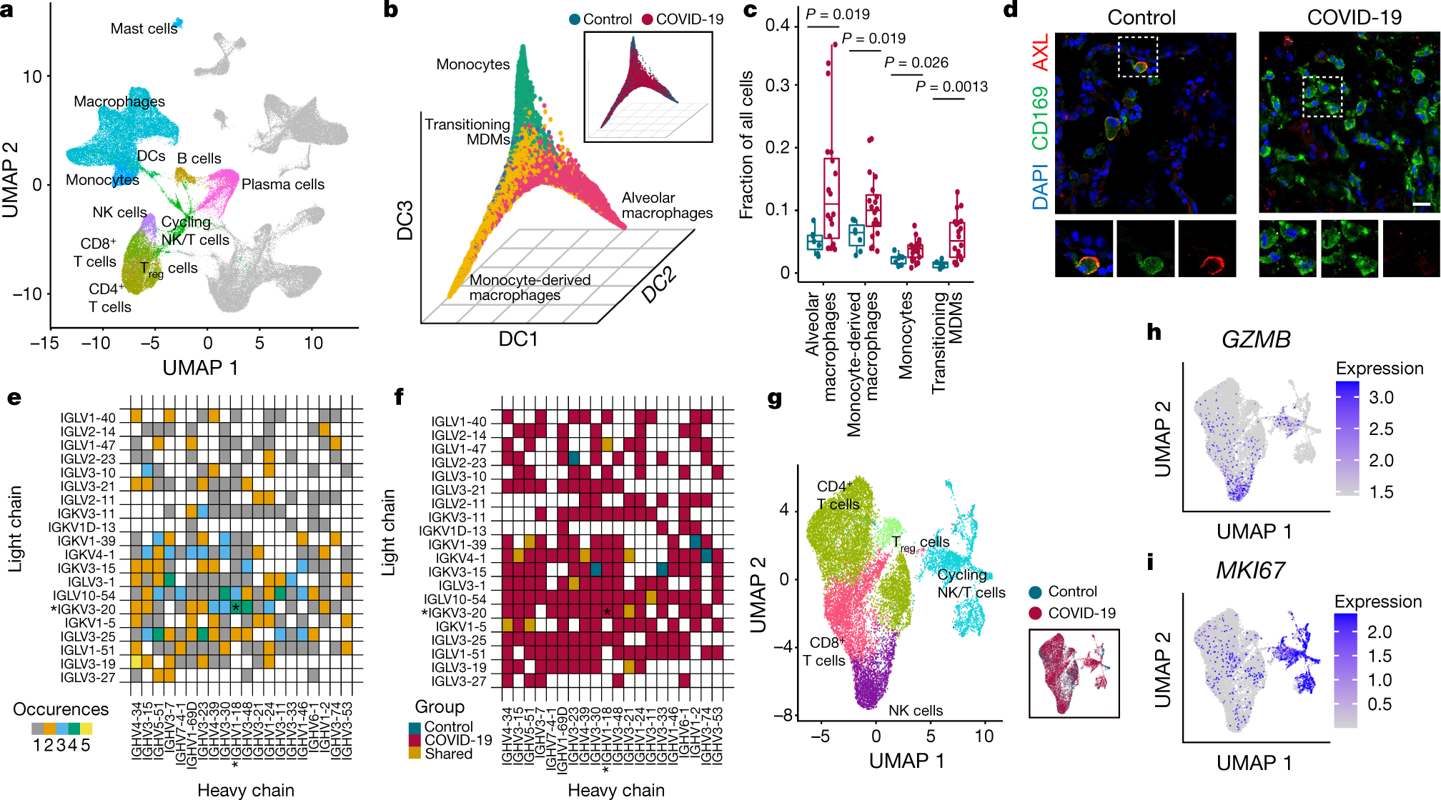 Fig. 2: Immune responses in COVID-19.