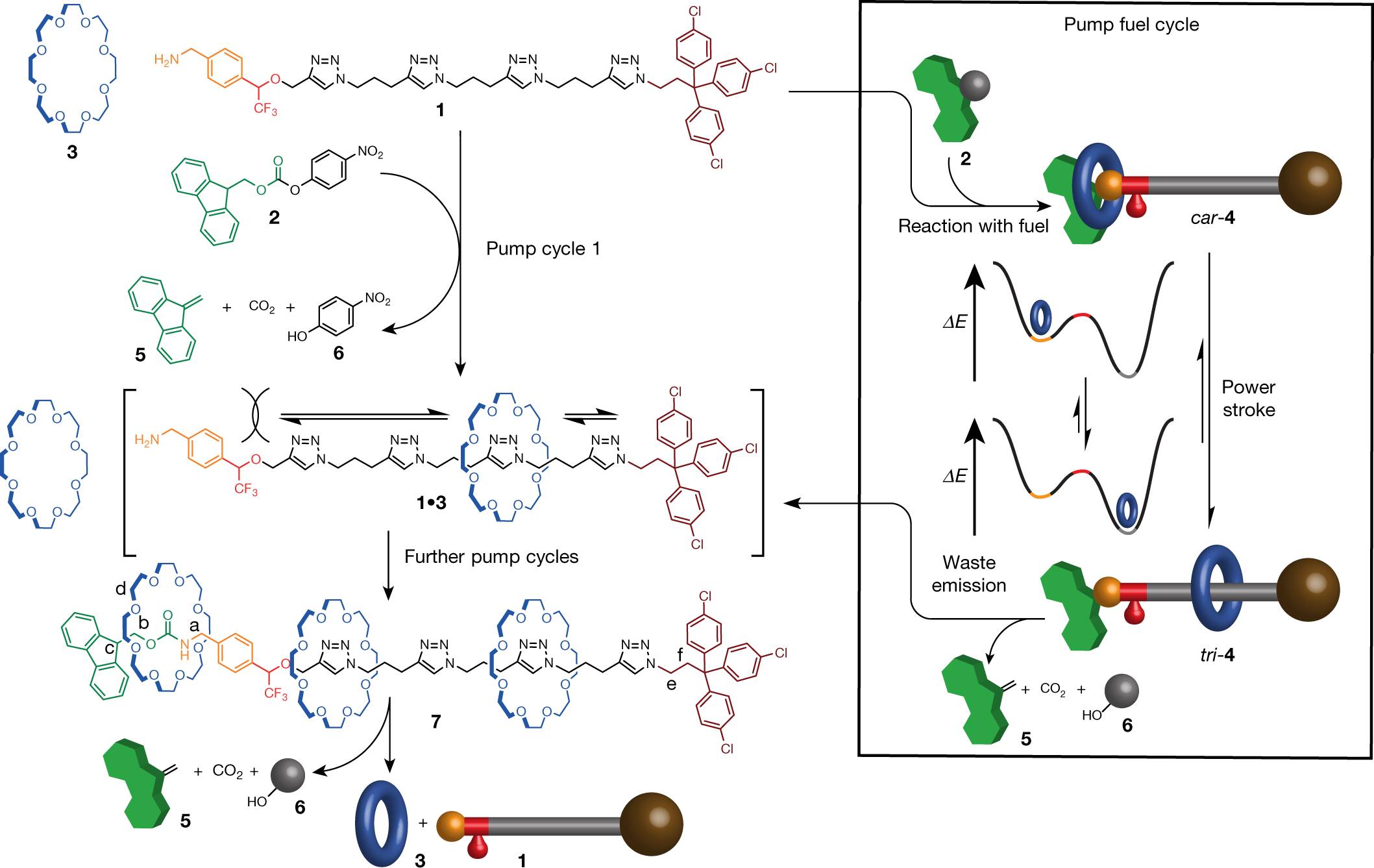 A catalysis-driven artificial molecular pump | Nature
