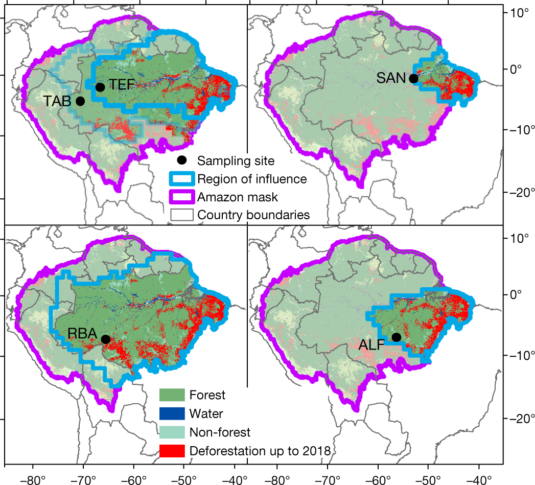 Amazonia as a carbon source linked to deforestation and climate change |  Nature