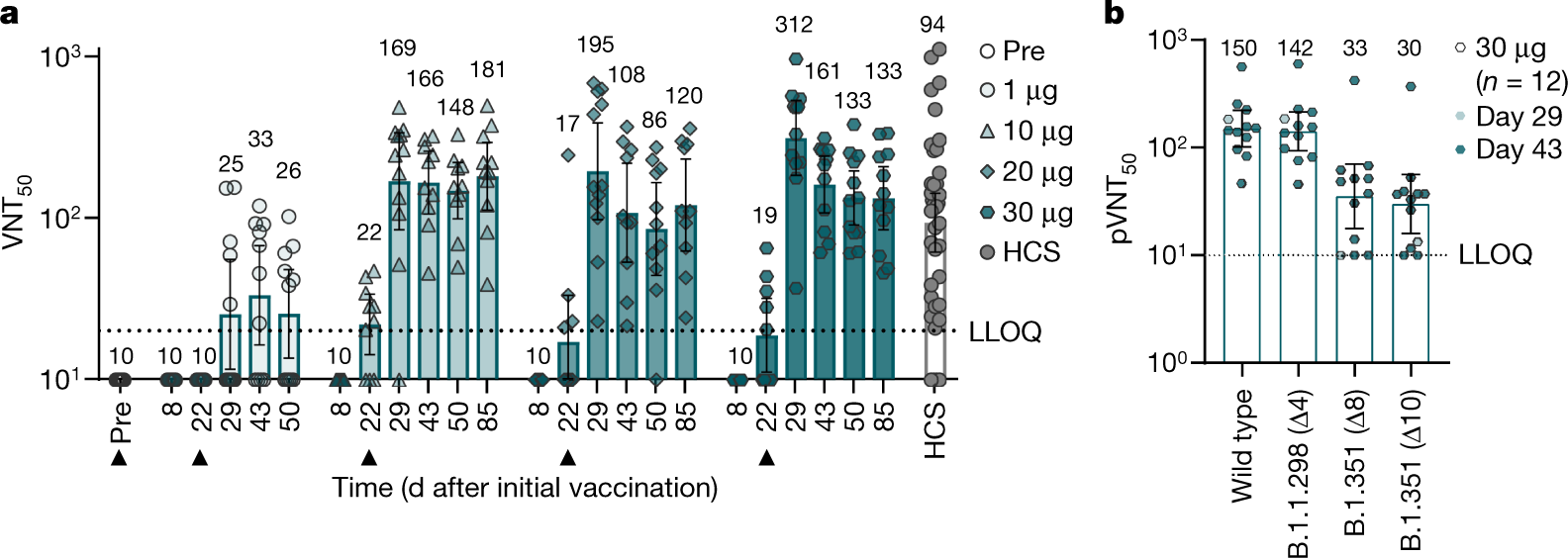 Bnt162b2 Vaccine Induces Neutralizing Antibodies And Poly Specific T Cells In Humans Nature