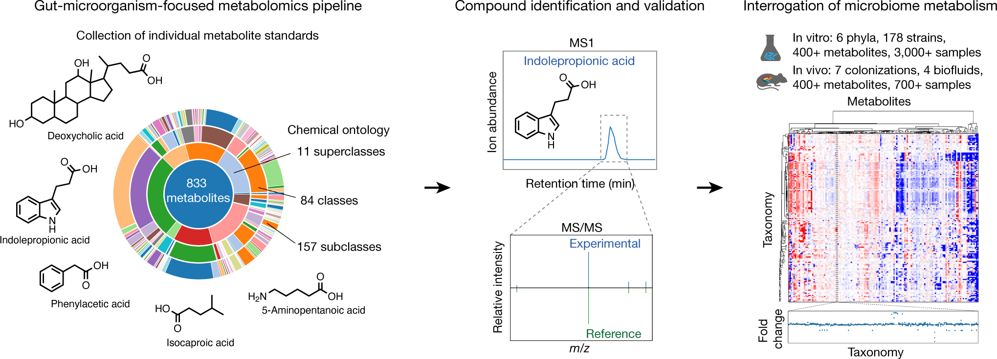 A Metabolomics Pipeline For The Mechanistic Interrogation Of The Gut Microbiome Nature A Metabolomics Pipeline For The Mechanistic Interrogation Of The Gut Microbiome Nature