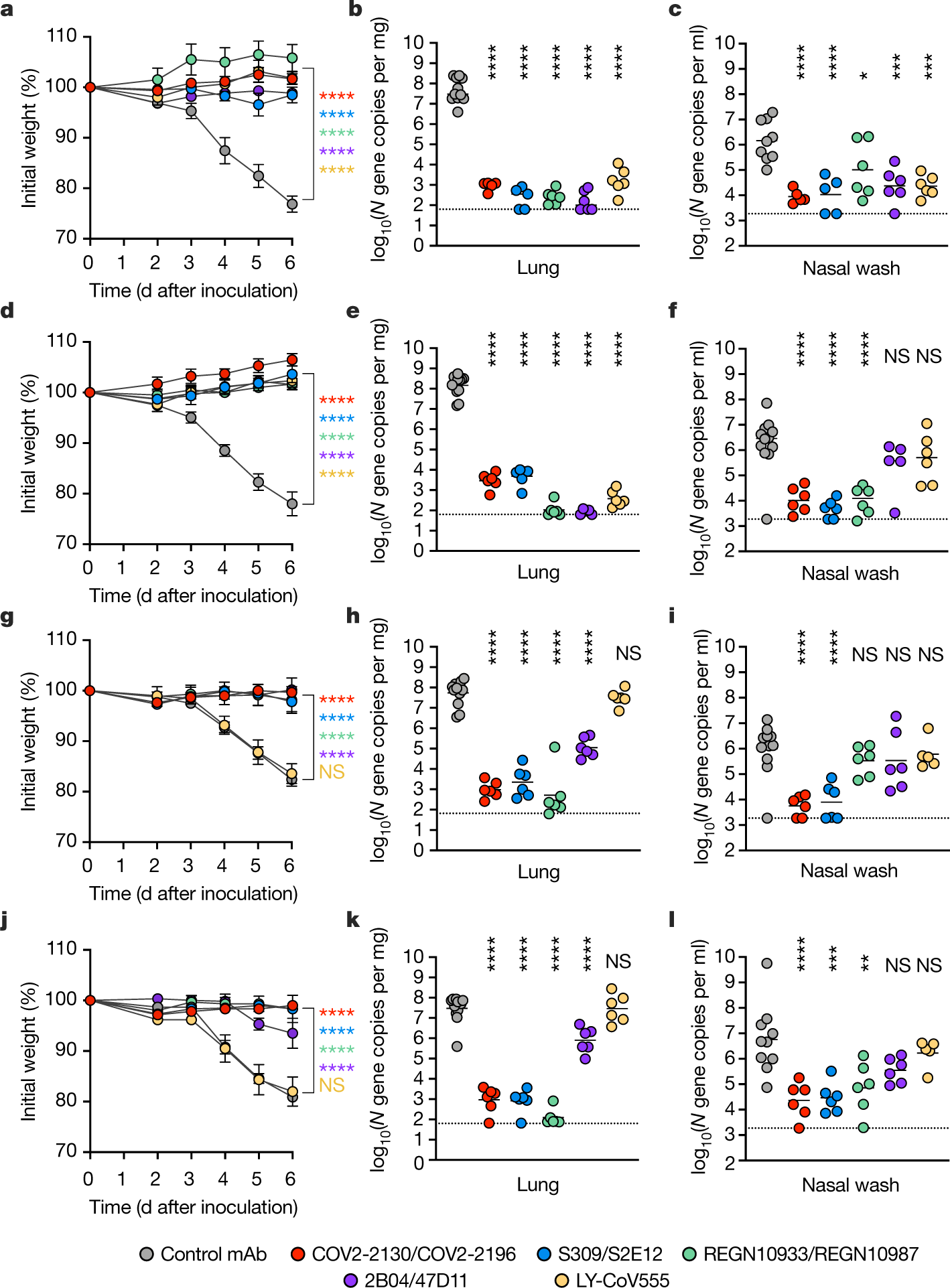 Fig. 2: Antibody prophylaxis against SARS-CoV-2 variants in K18-hACE2 mice.