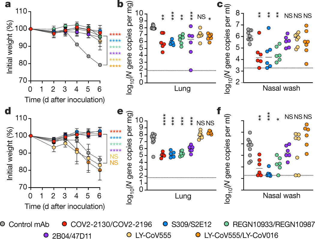 Fig. 3: Post-exposure antibody therapy against SARS-CoV-2 variants in K18-hACE2 mice.