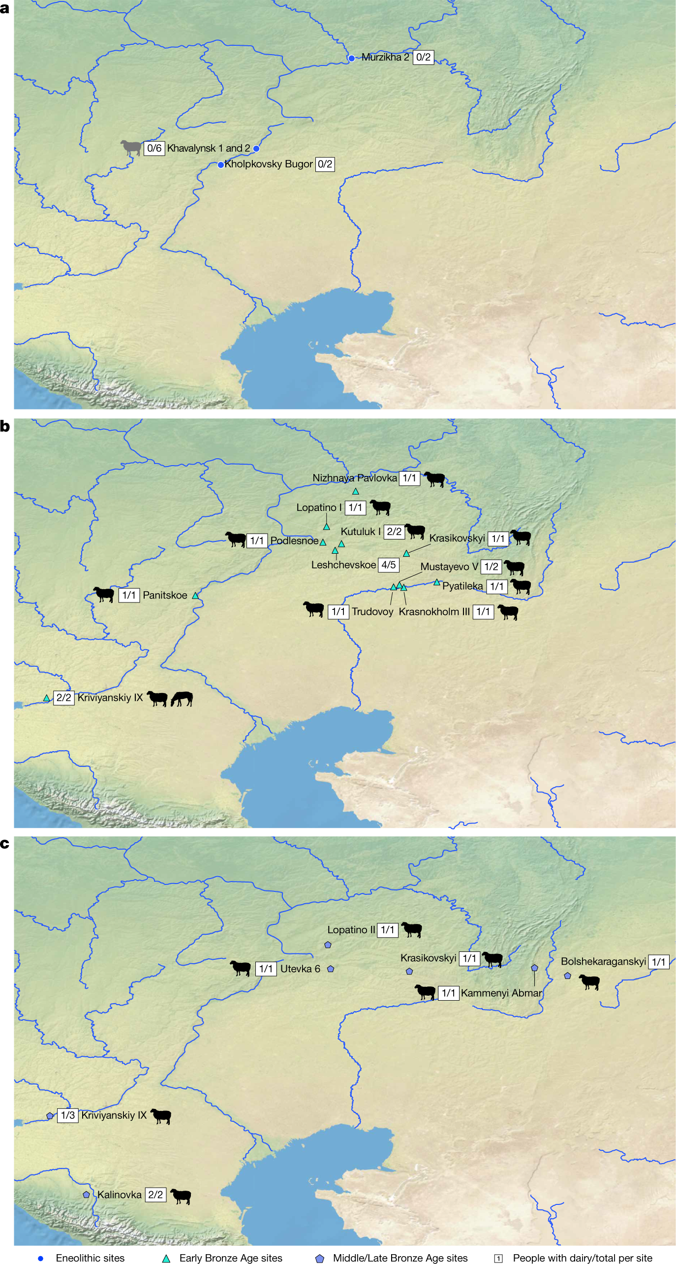 Dairying Enabled Early Bronze Age Yamnaya Steppe Expansions Nature